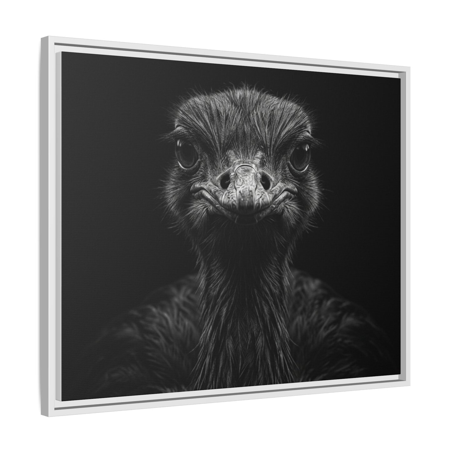 Framed Canvas Print — Ostrich In Black