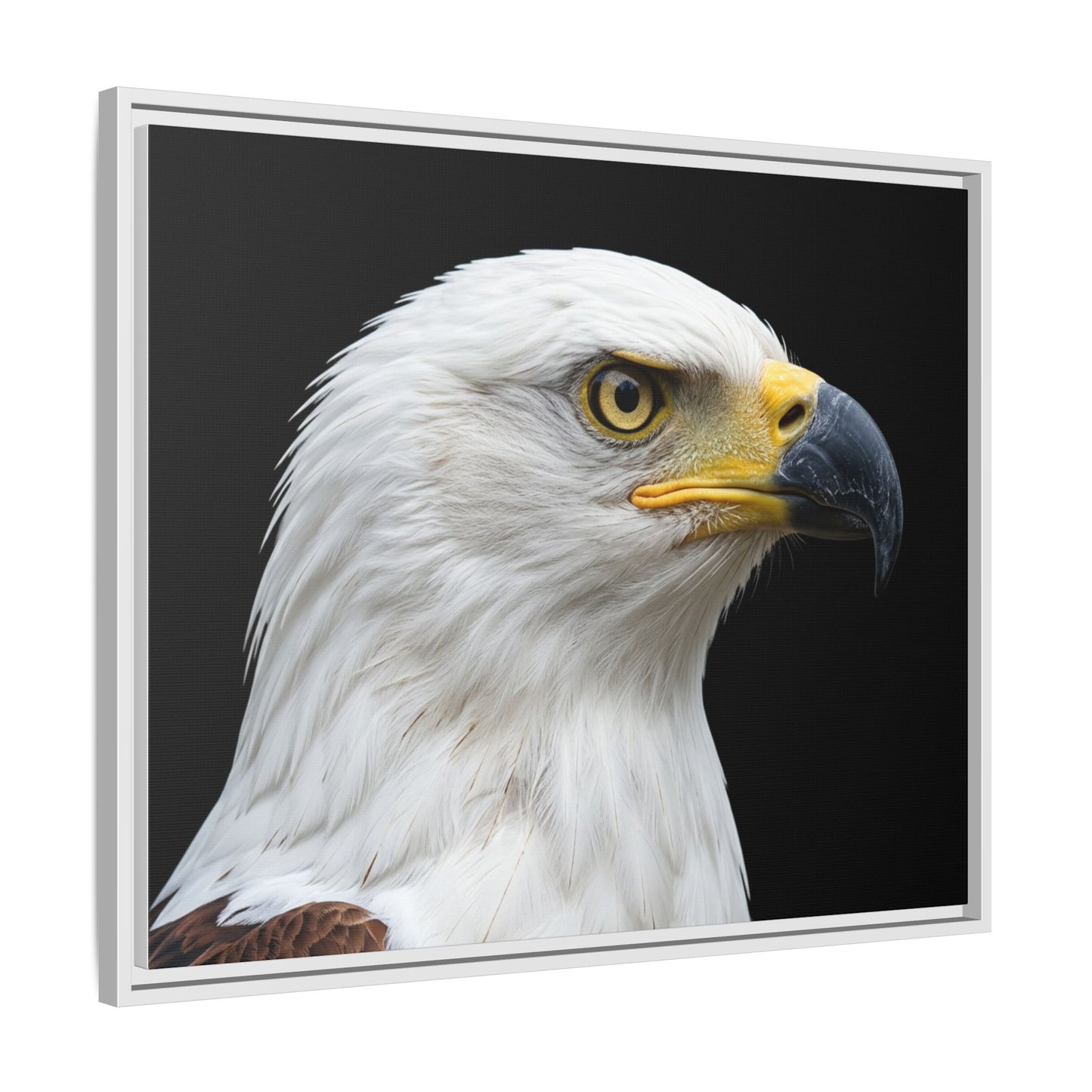 Framed Canvas Print — Fish Eagle In Colour