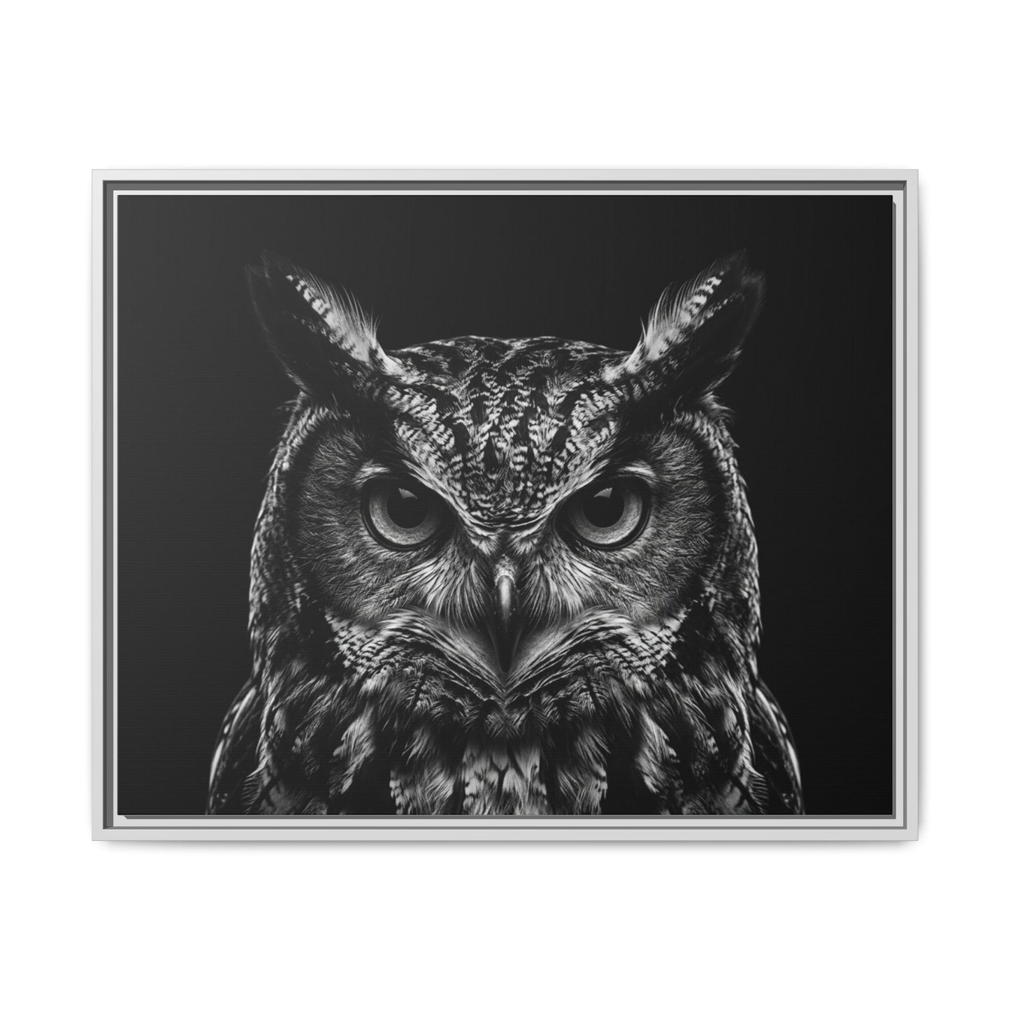 Framed Canvas Print — Scops Owl In Black