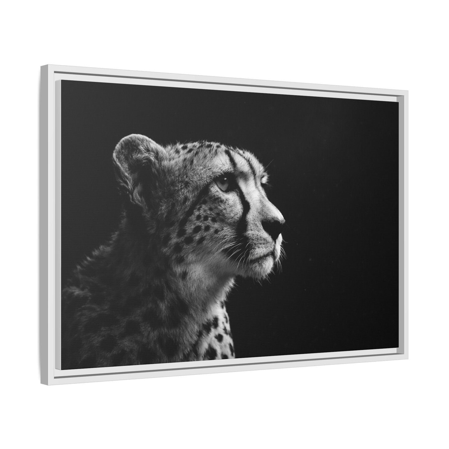 Framed Canvas Print — Cheetah Gaze