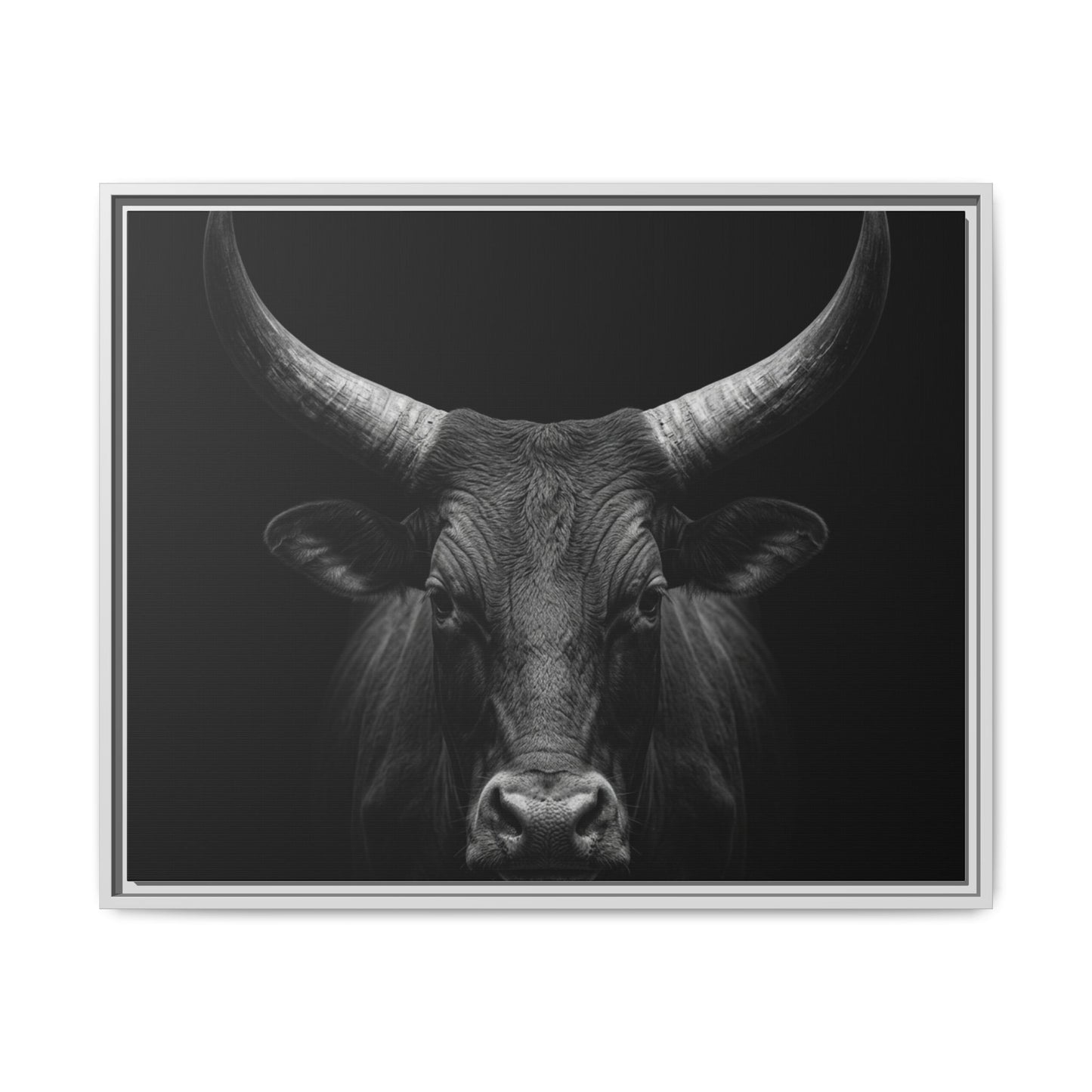 Framed Canvas Print — Ankole Cow In Black