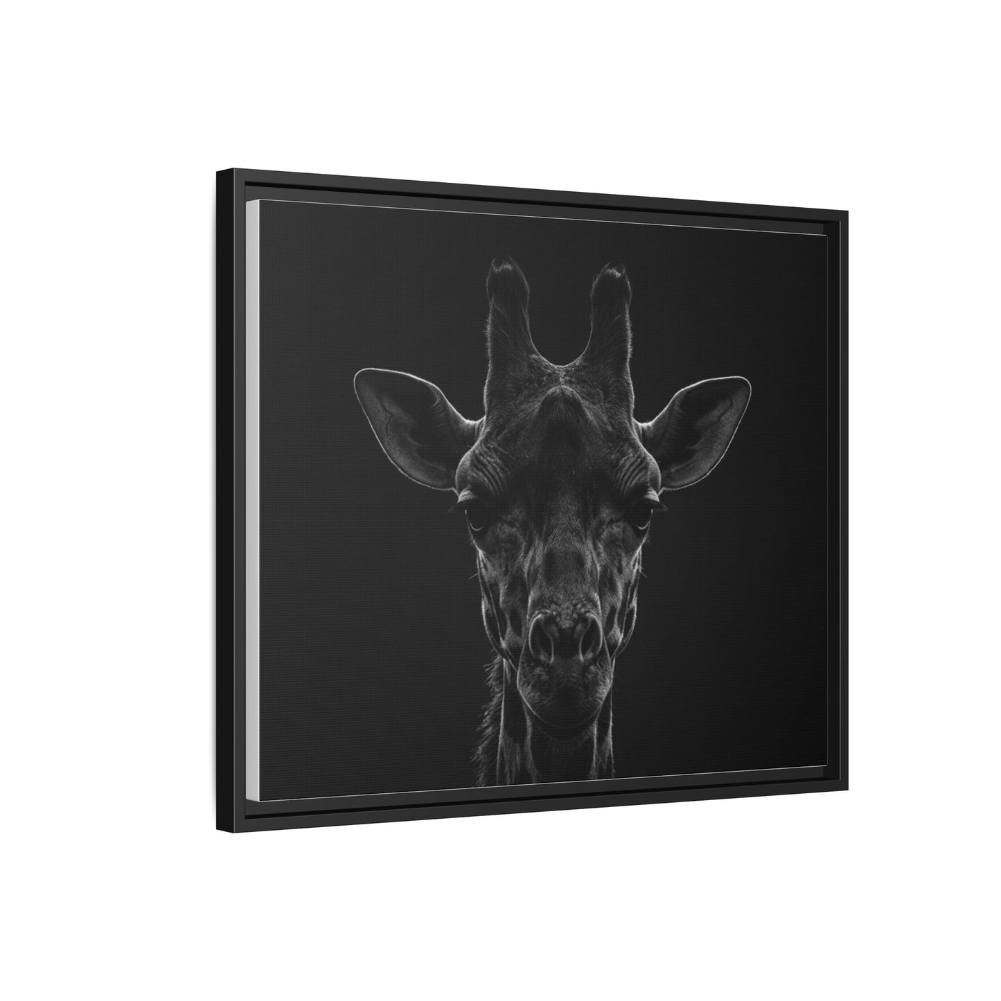 Framed Canvas Print — Giraffe In Black