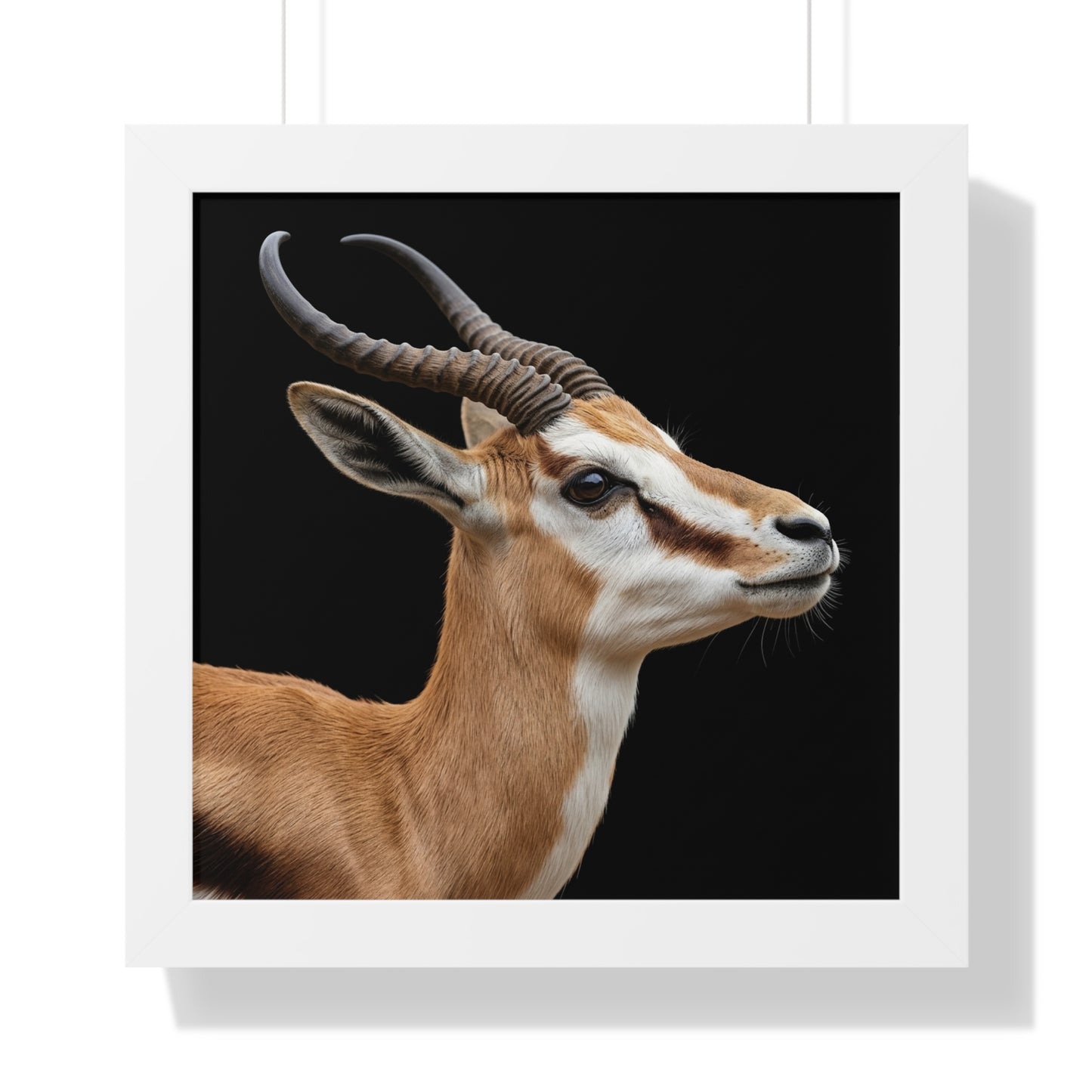 Framed Art Print – Springbok In Colour