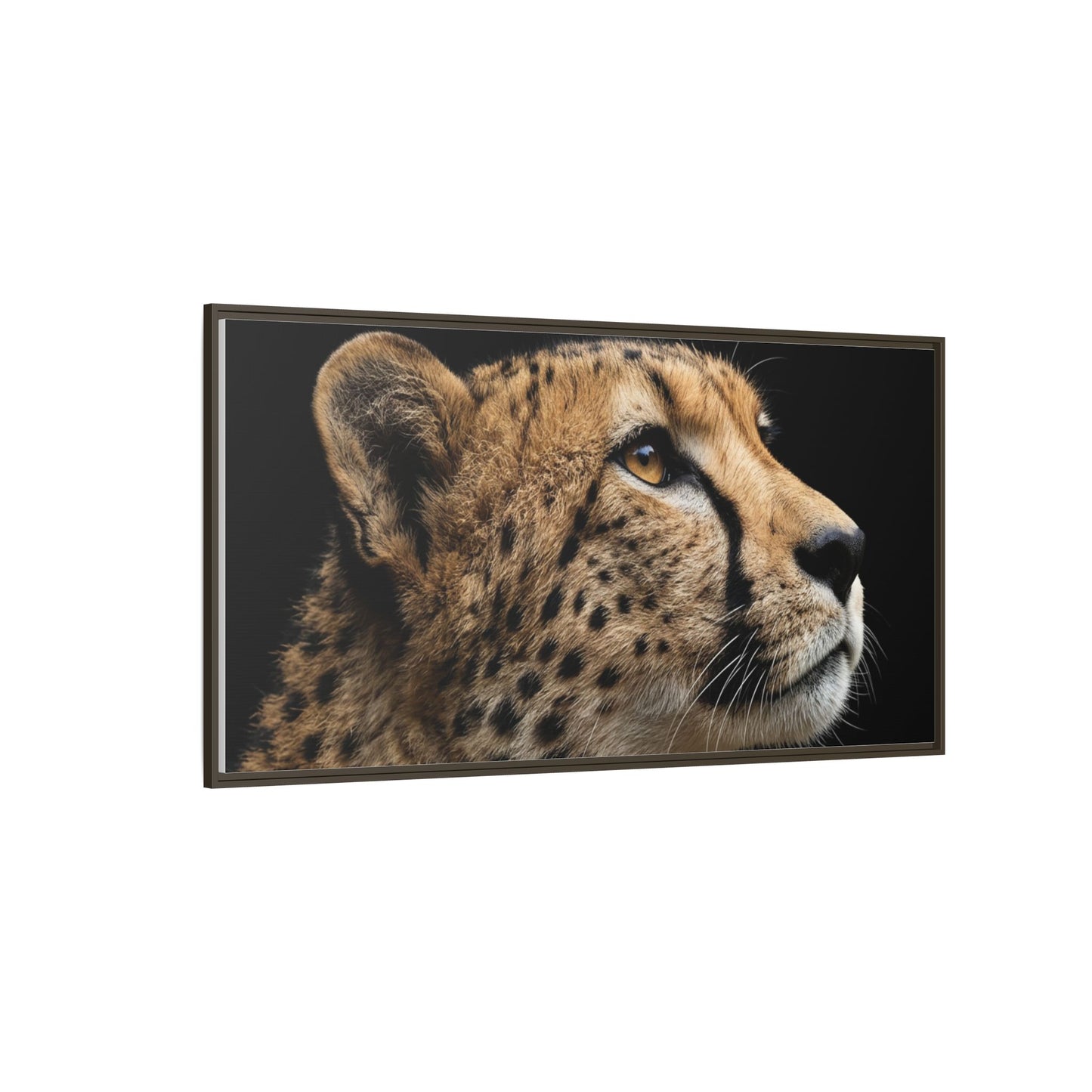 Framed Canvas Print — Cheetah In Colour