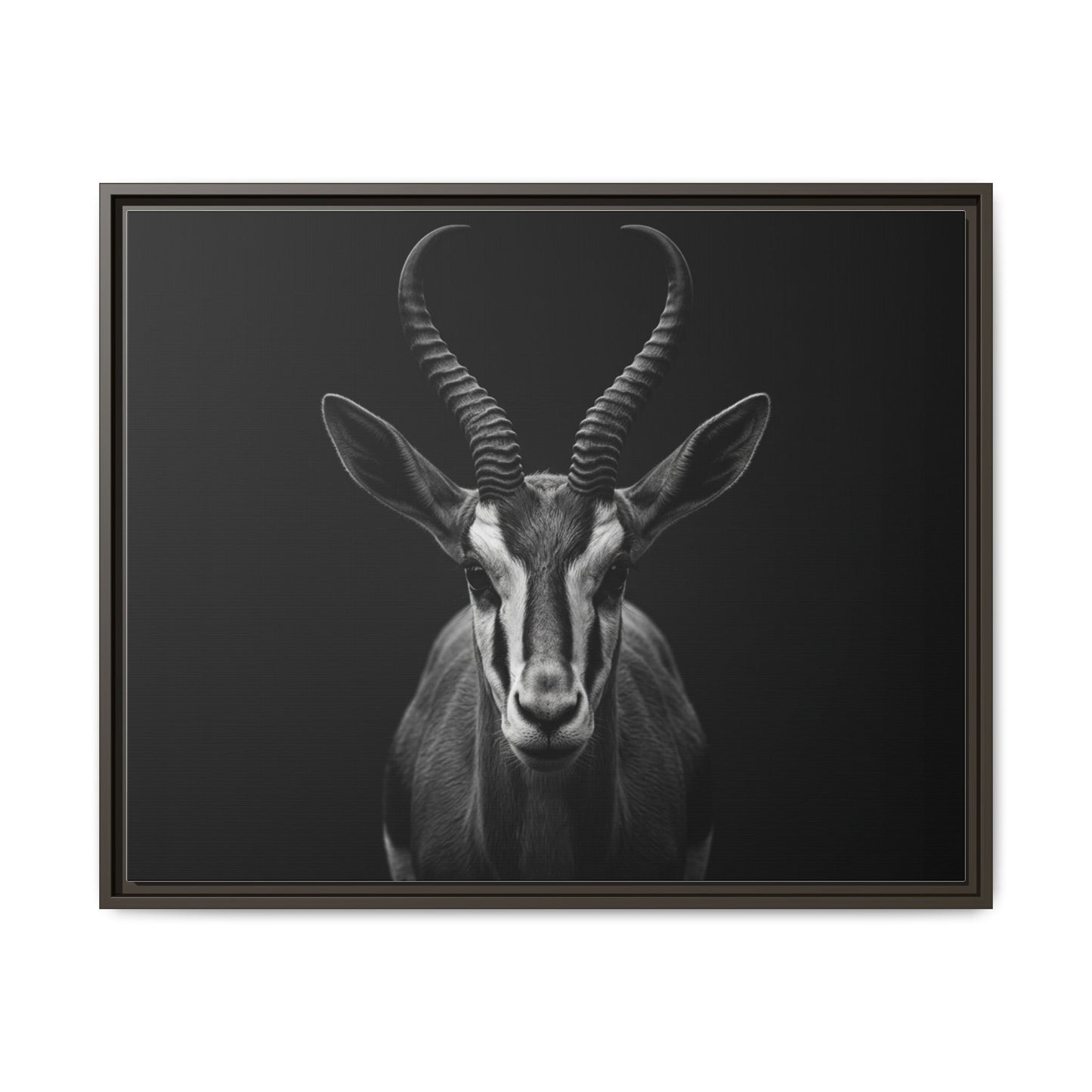 Framed Canvas Print — Springbok In Black