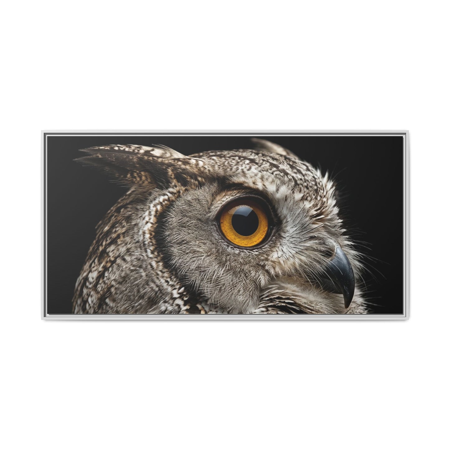 Framed Canvas Print — Scops Owl In Colour