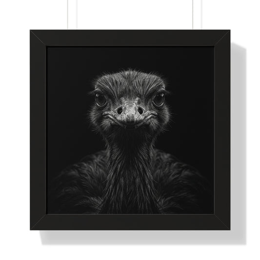 Framed Art Print – Ostrich In Black