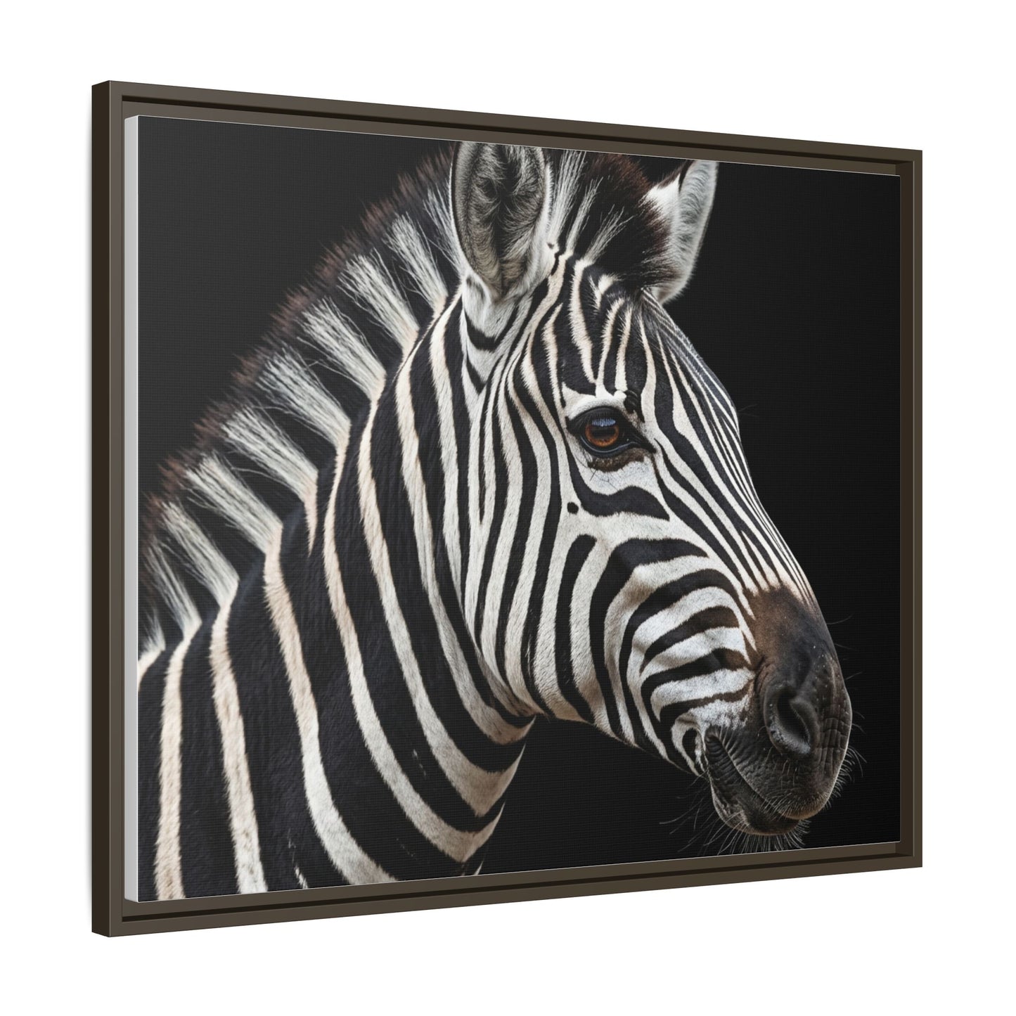 Framed Canvas Print — Zebra In Colour