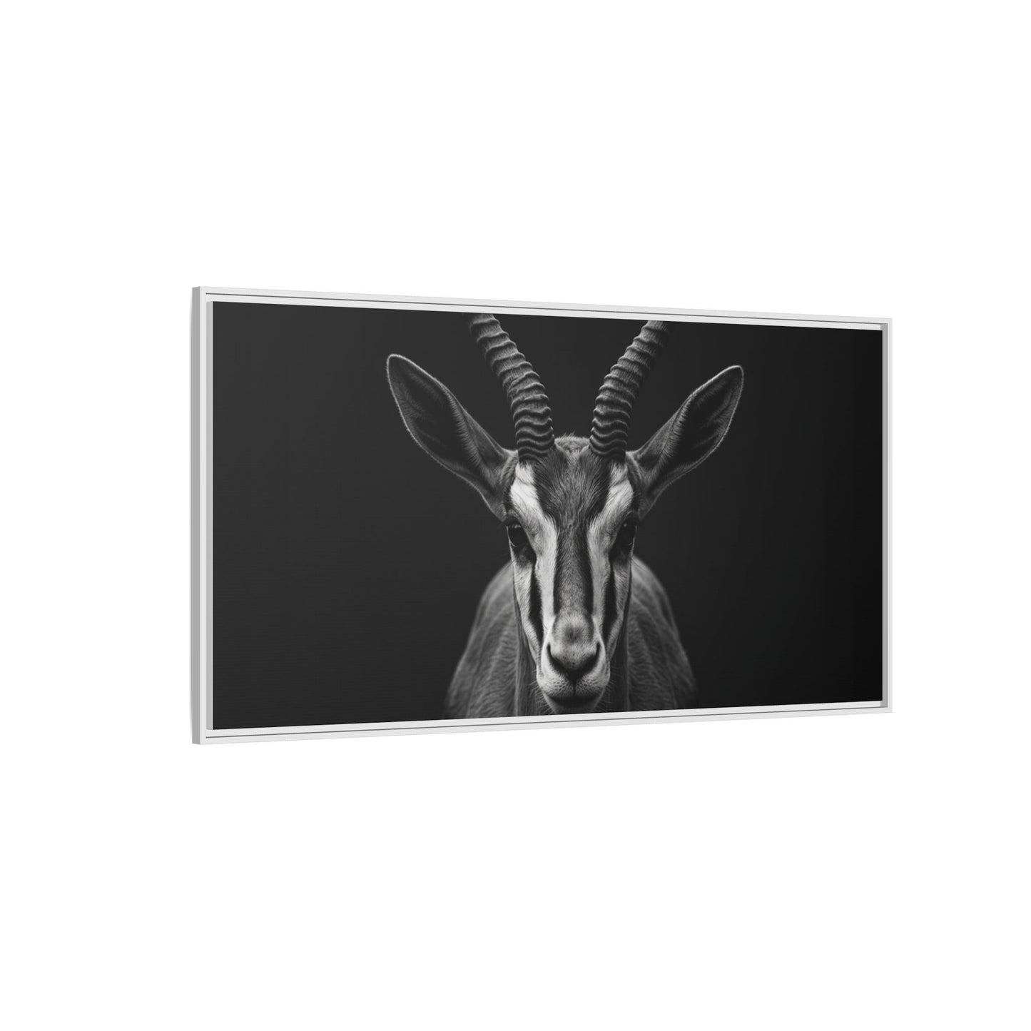 Framed Canvas Print — Springbok In Black