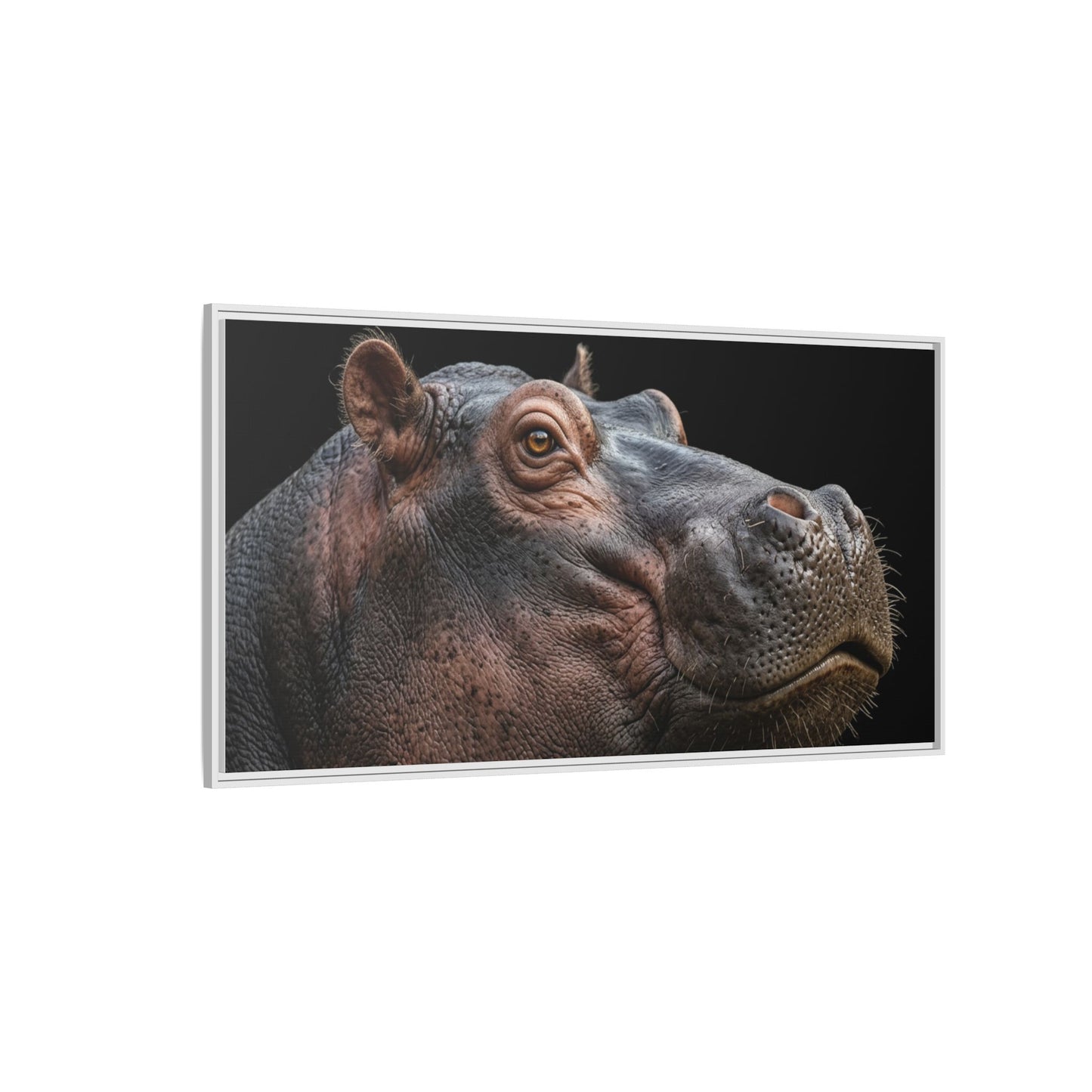 Framed Canvas Print — Hippopotamos In Colour