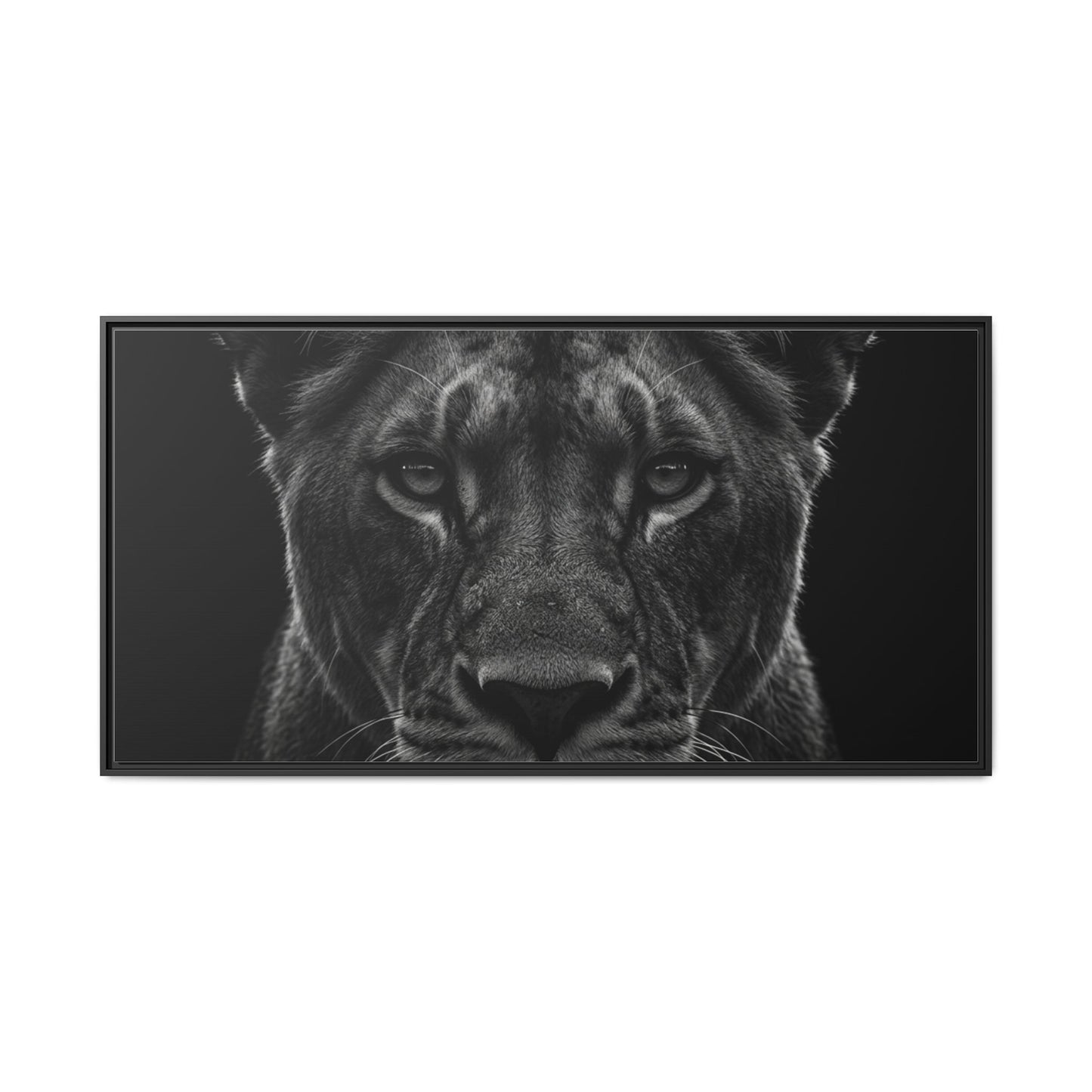 Framed Canvas Print — Lioness In Black