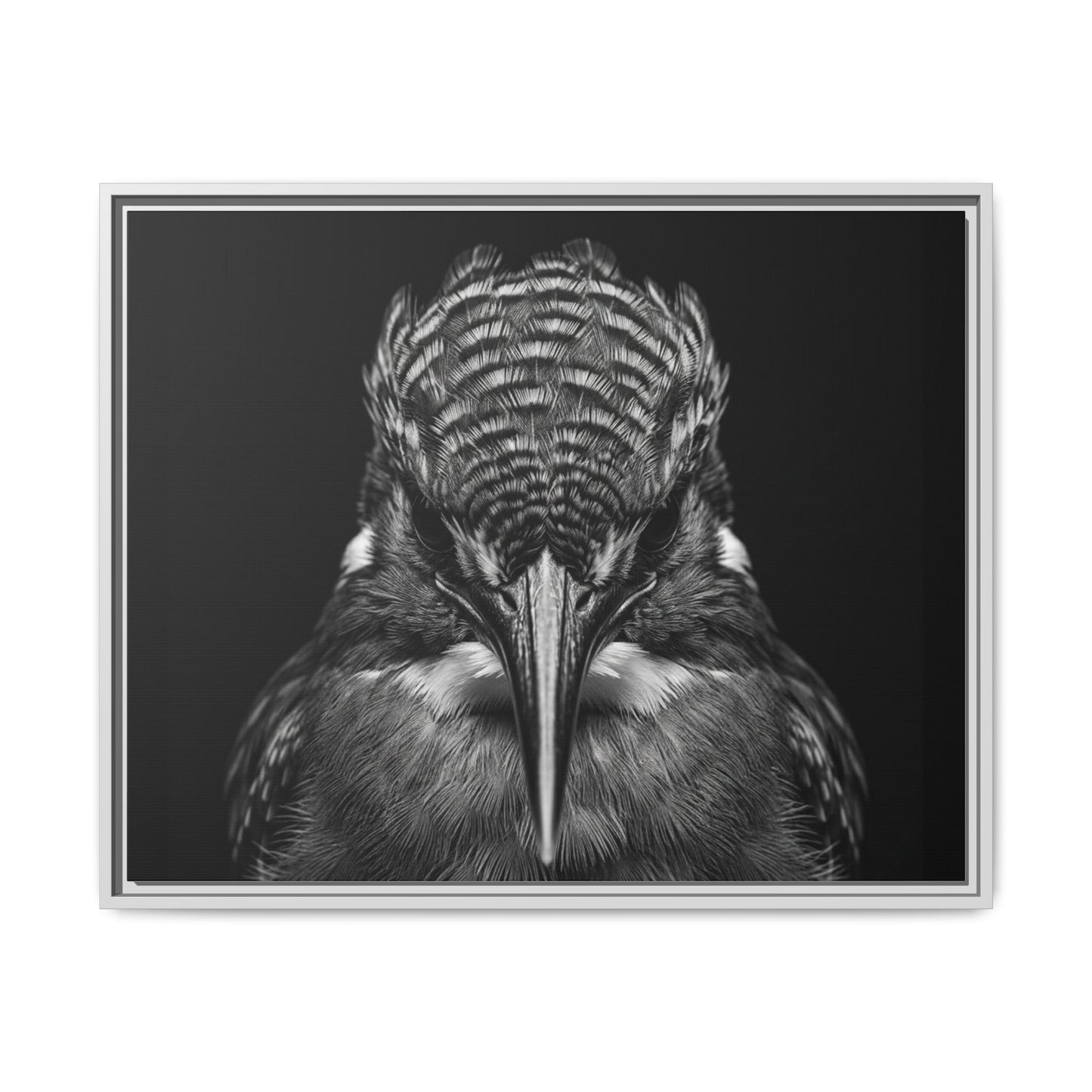 Framed Canvas Print — Malachite Kingfisher In Black