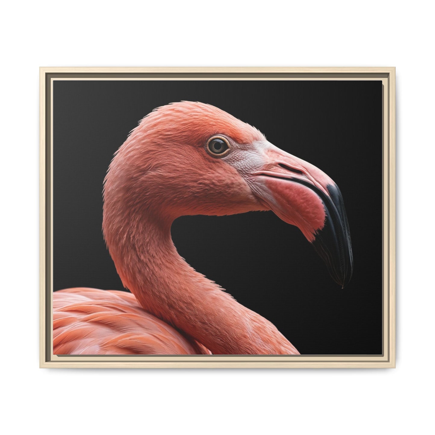 Framed Canvas Print — Flamingo In Colour