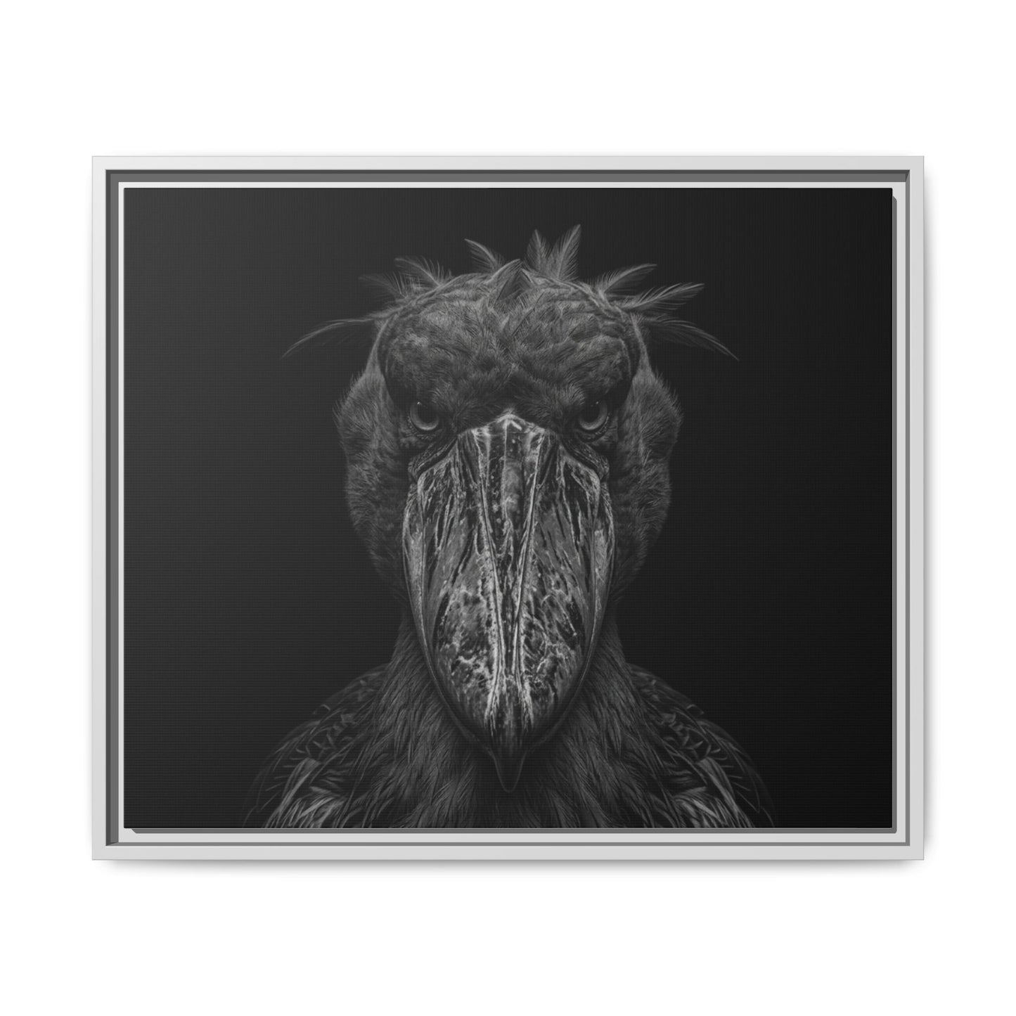 Framed Canvas Print — Shoebill Stock In Black