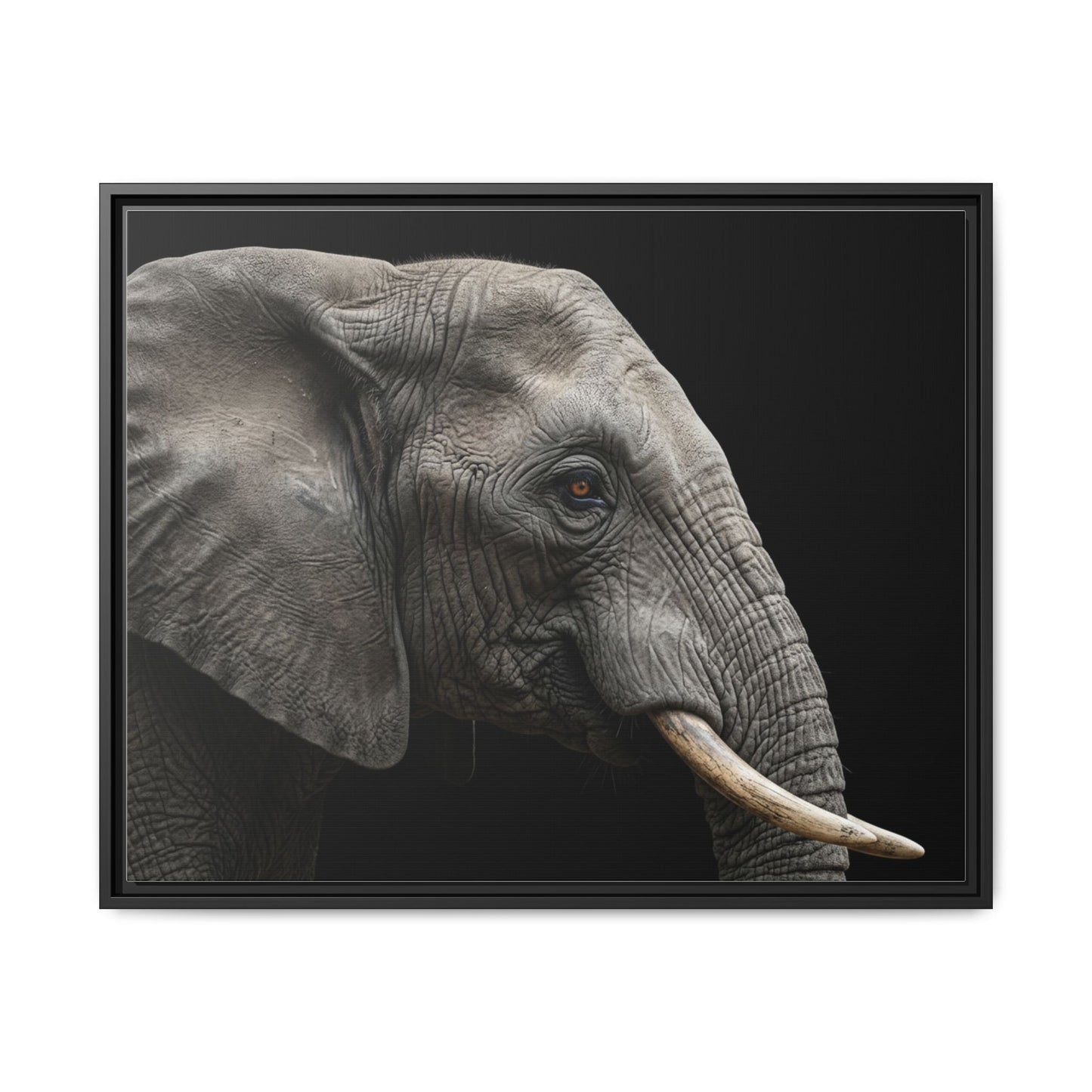 Framed Canvas Print — Elephant In Colour