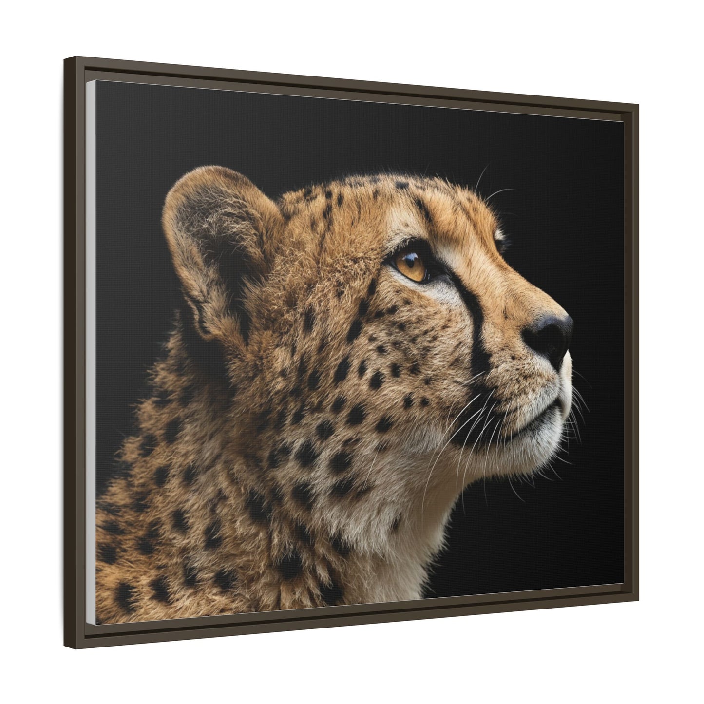 Framed Canvas Print — Cheetah In Colour