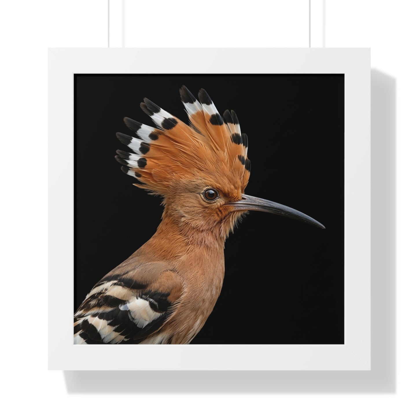 Framed Art Print – Afrikan Hoopoe In Colour