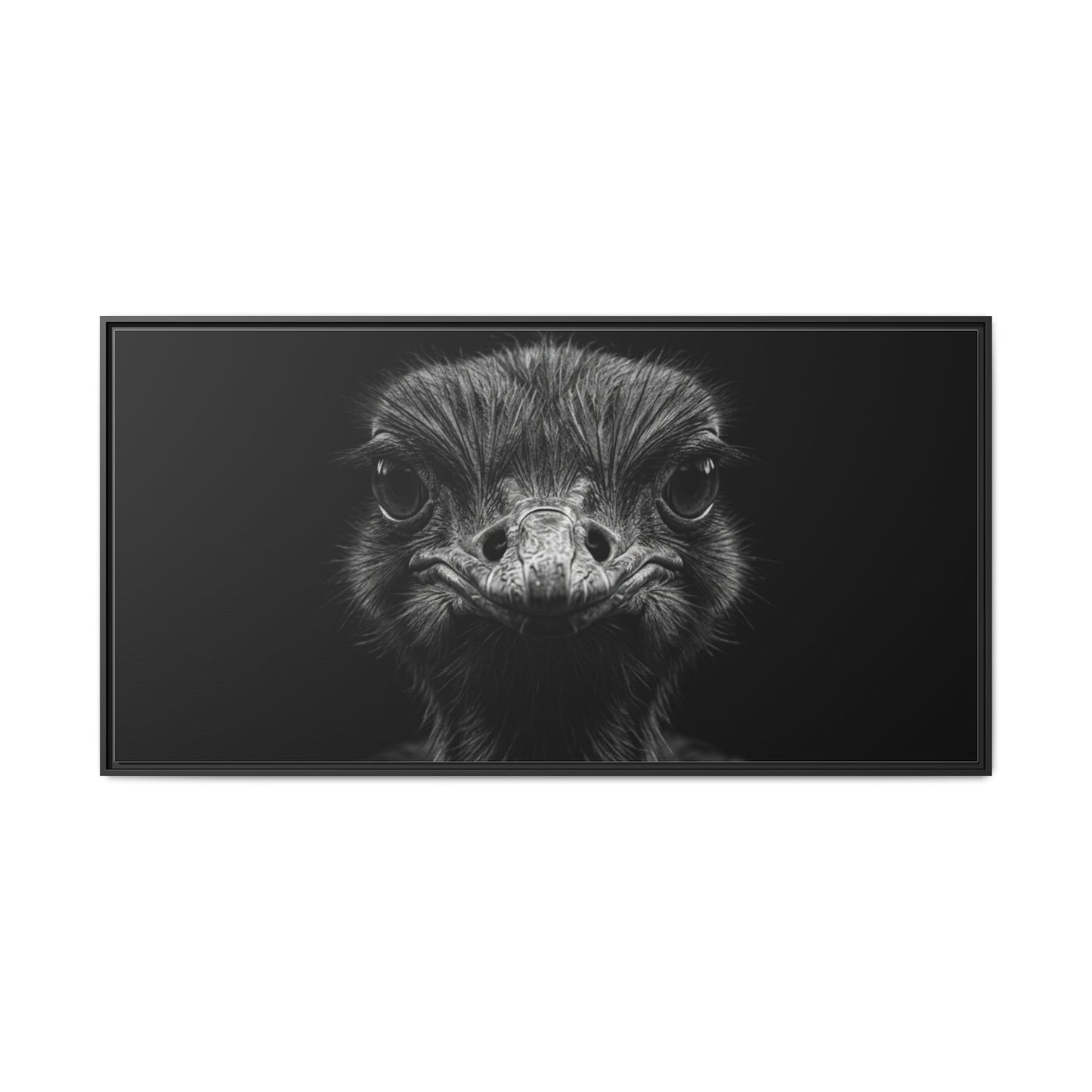 Framed Canvas Print — Ostrich In Black