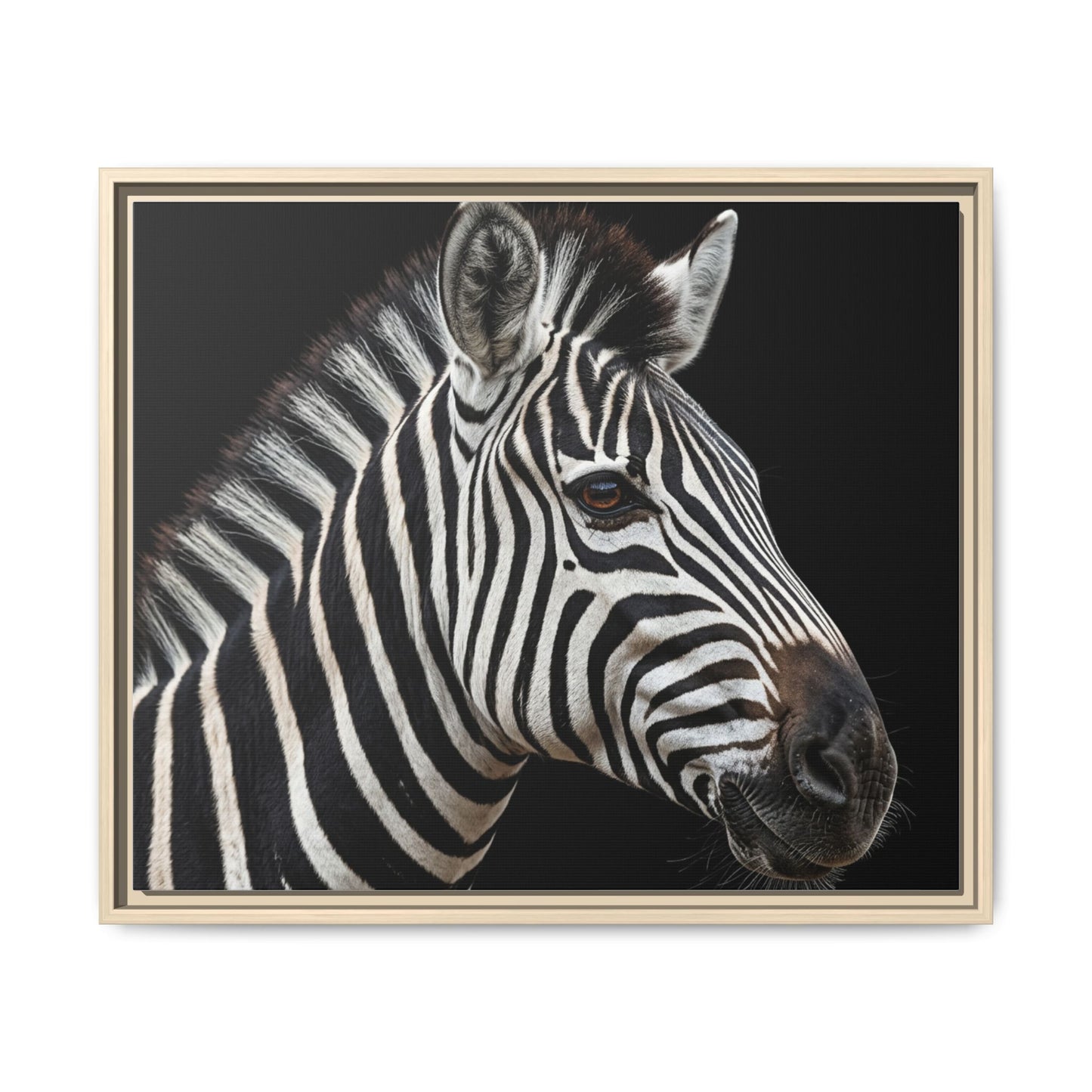 Framed Canvas Print — Zebra In Colour