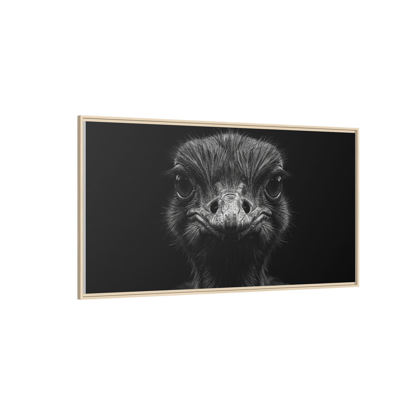 Framed Canvas Print — Ostrich In Black
