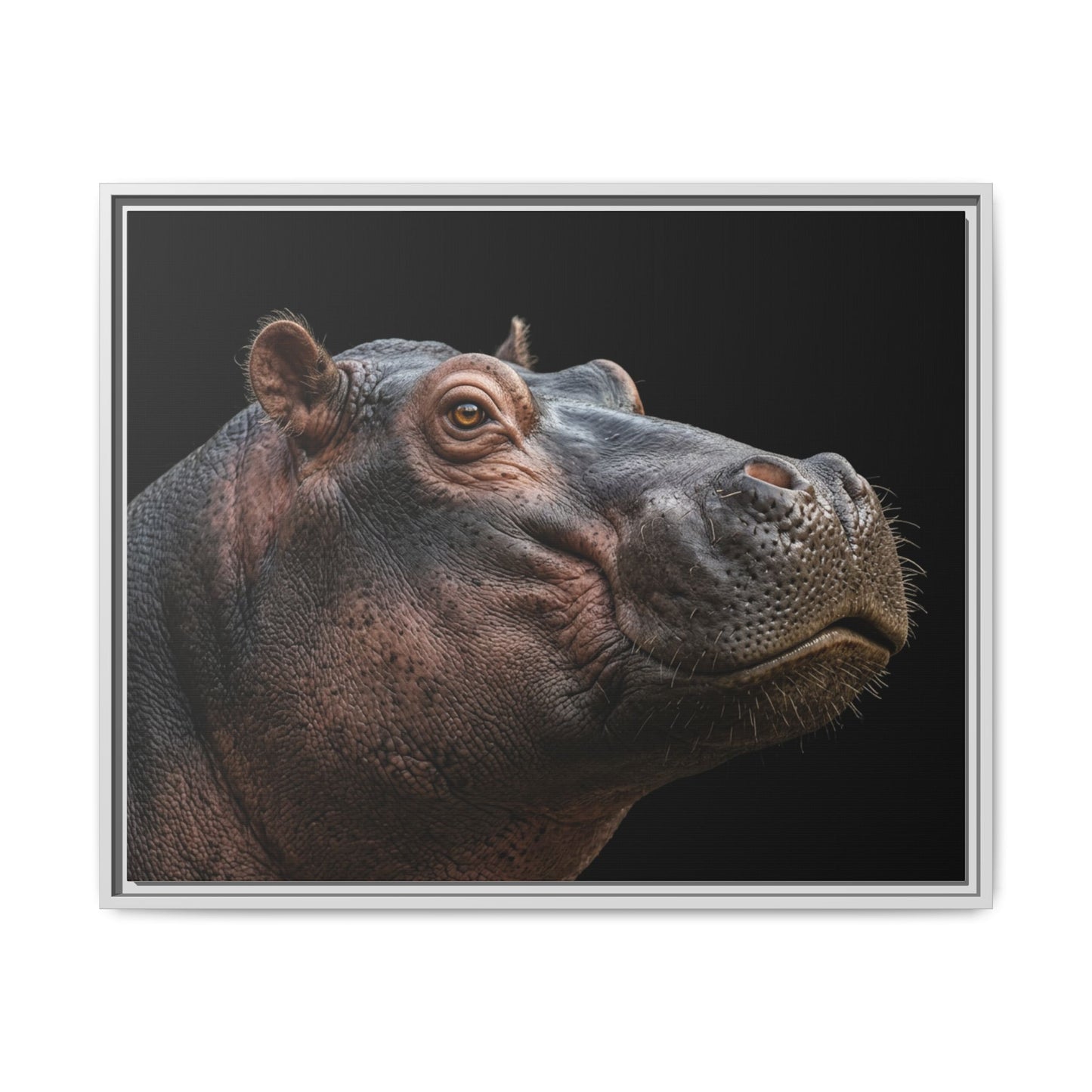 Framed Canvas Print — Hippopotamos In Colour