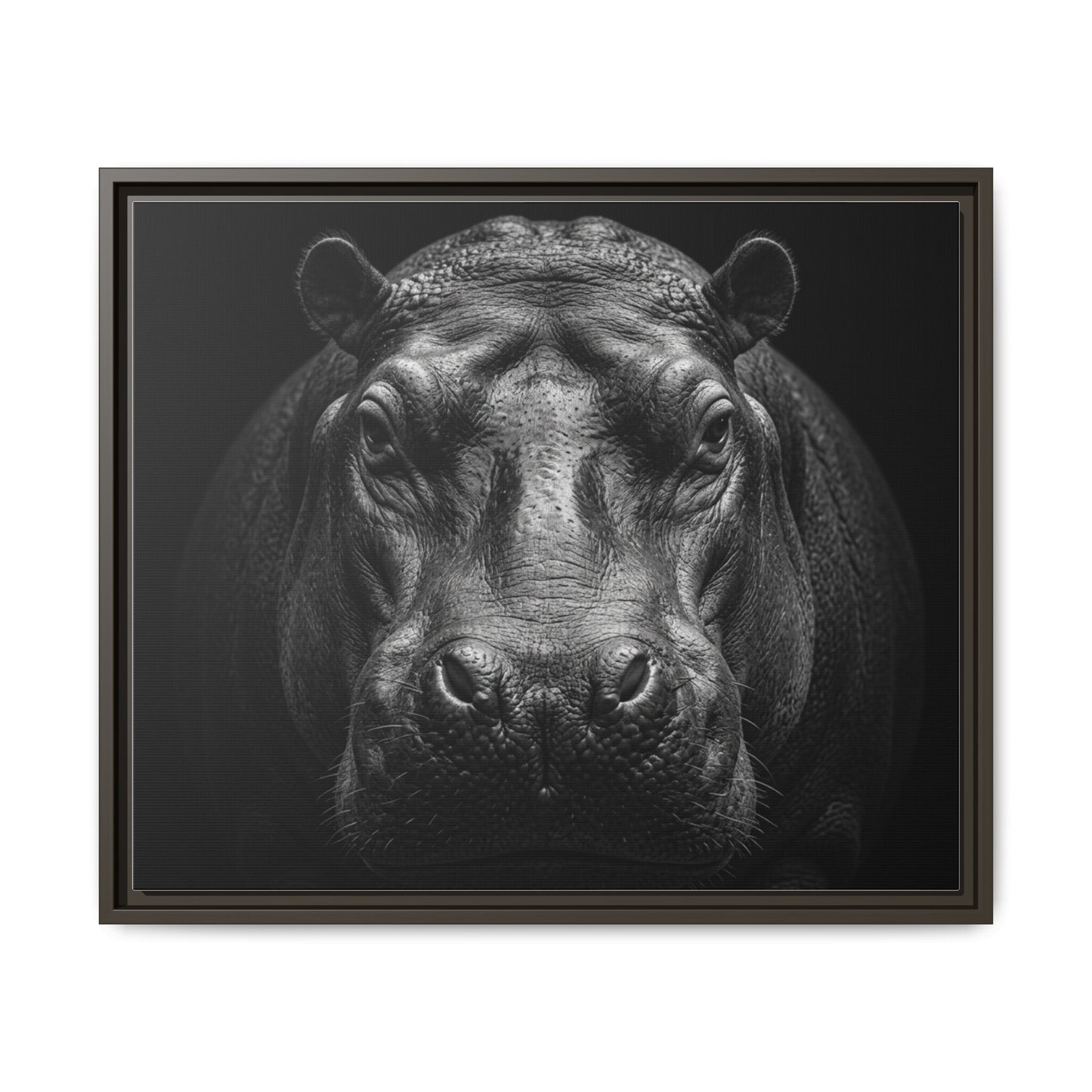 Framed Canvas Print — Hippopotamus In Black