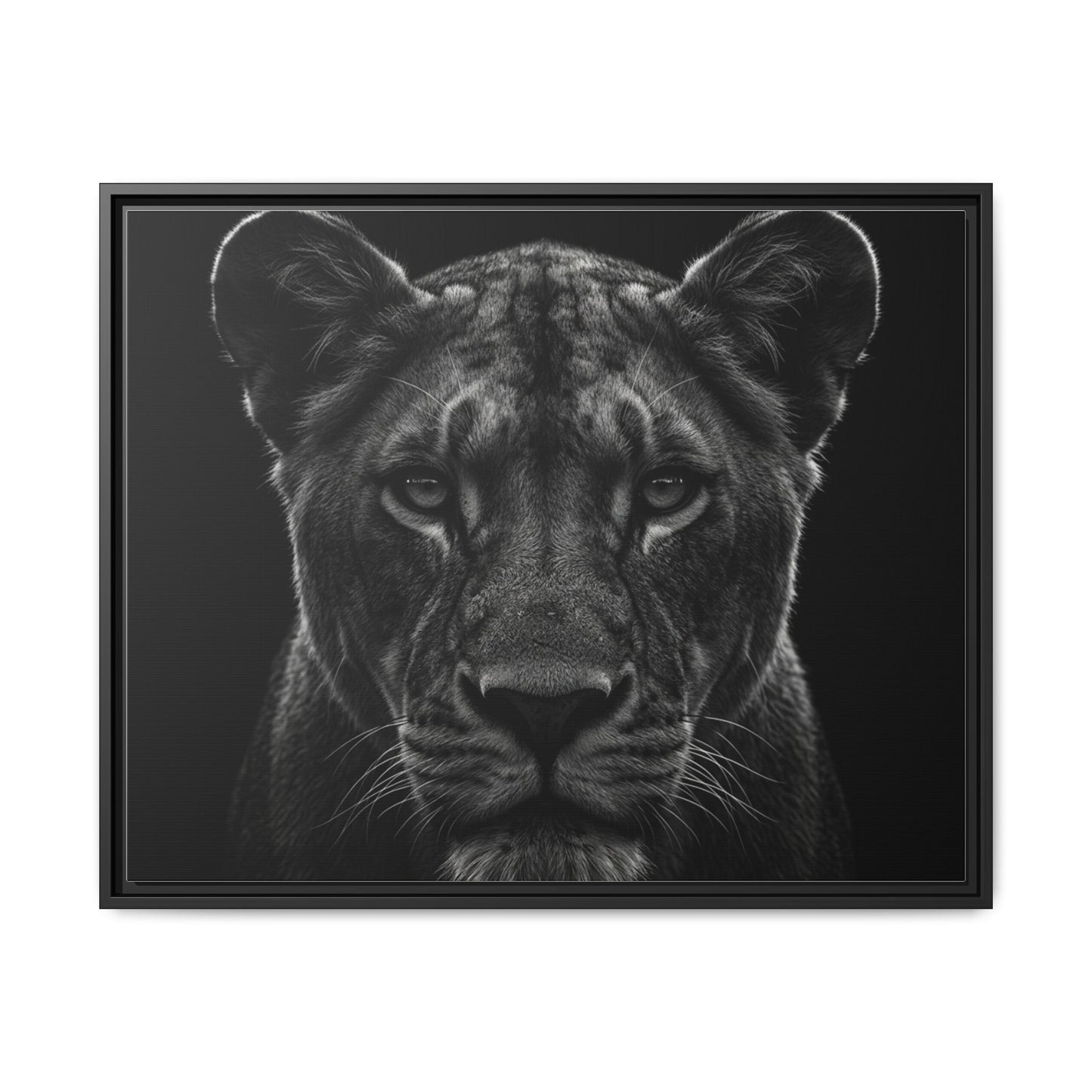 Framed Canvas Print — Lioness In Black