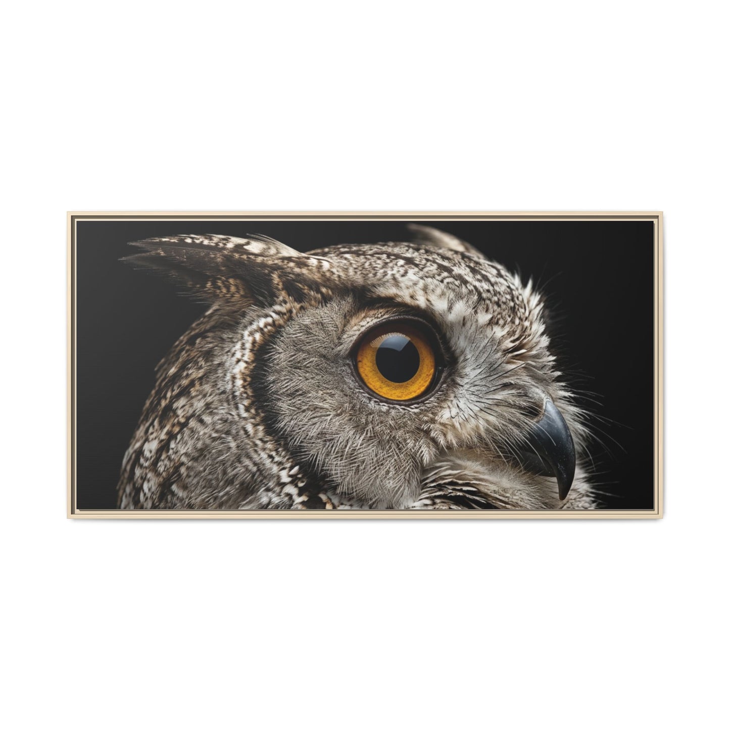 Framed Canvas Print — Scops Owl In Colour