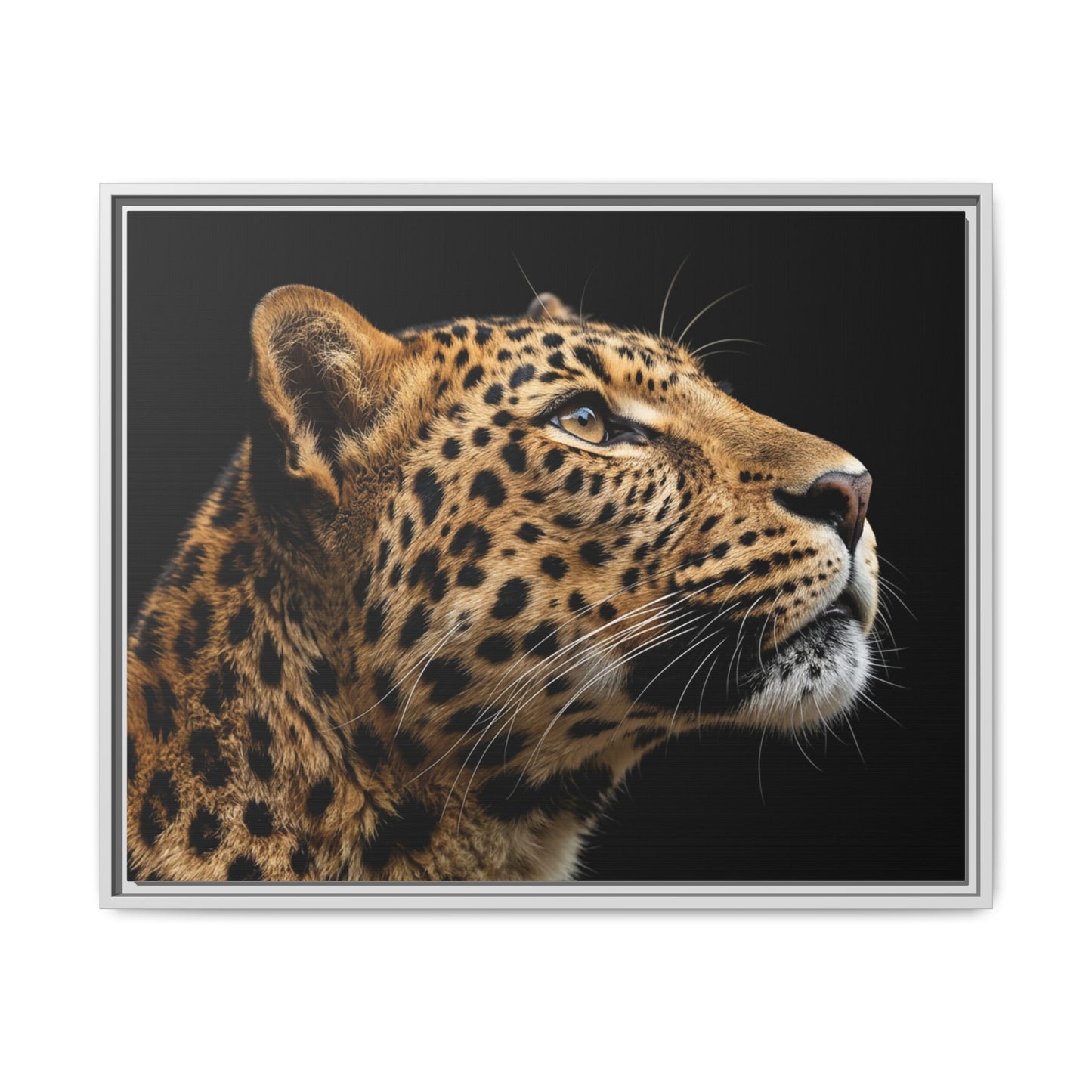 Framed Canvas Print — Leopard In Colour