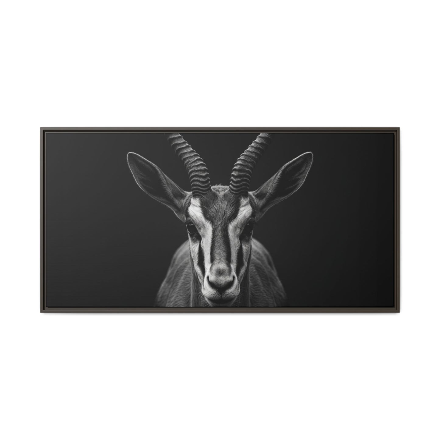 Framed Canvas Print — Springbok In Black