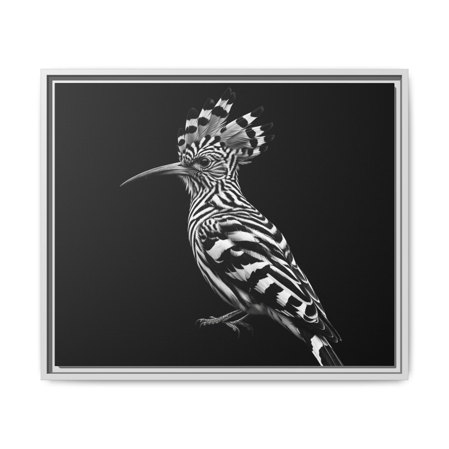 Framed Canvas Print — Afrikan Hoopoe In Black