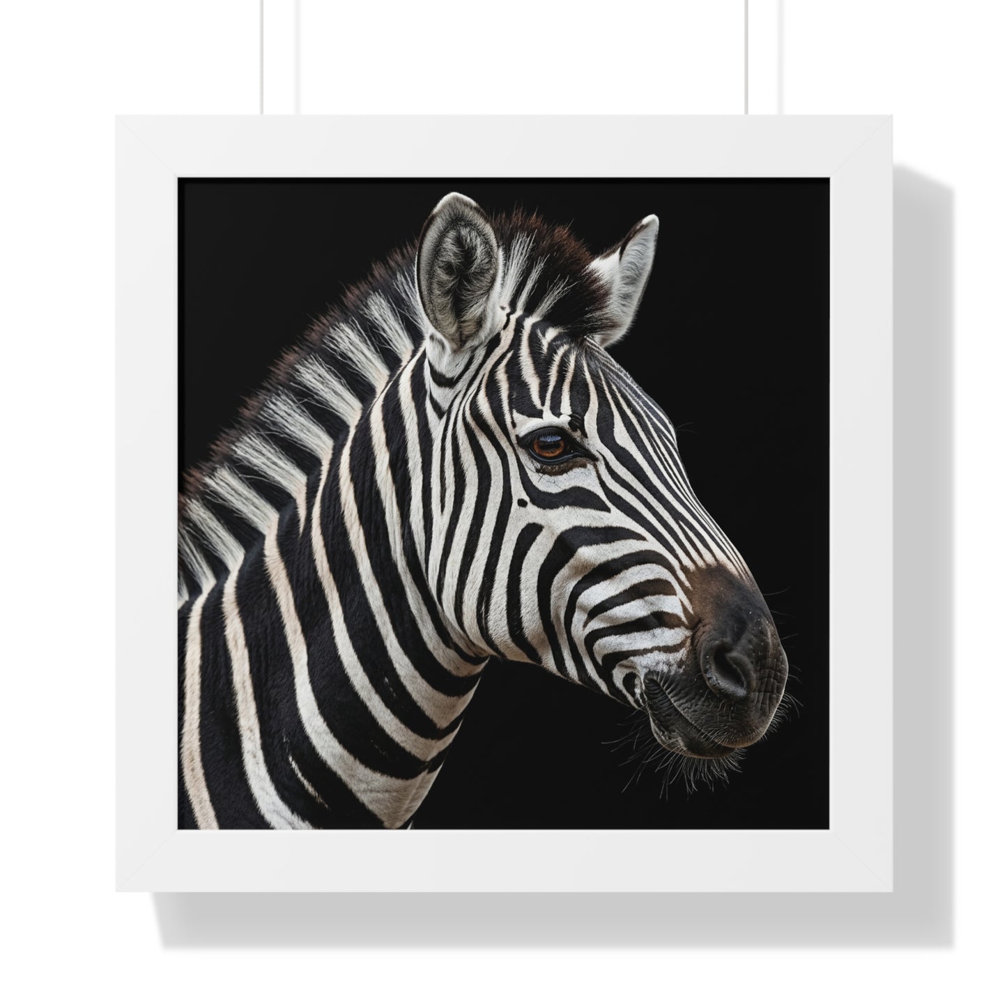 Framed Art Print – Zebra In Colour
