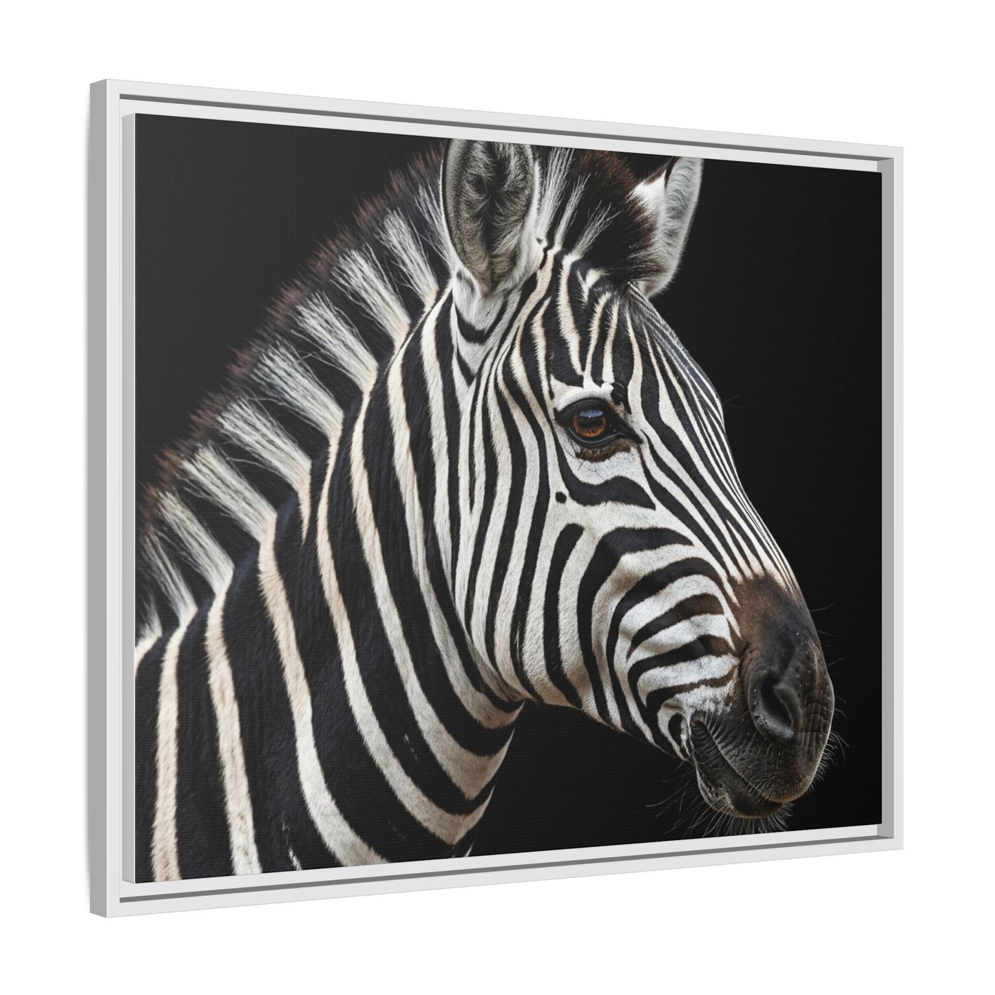 Framed Canvas Print — Zebra In Colour