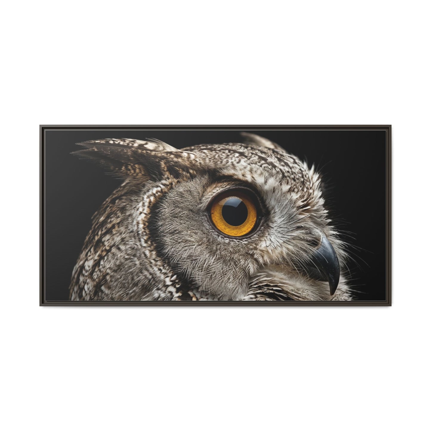 Framed Canvas Print — Scops Owl In Colour
