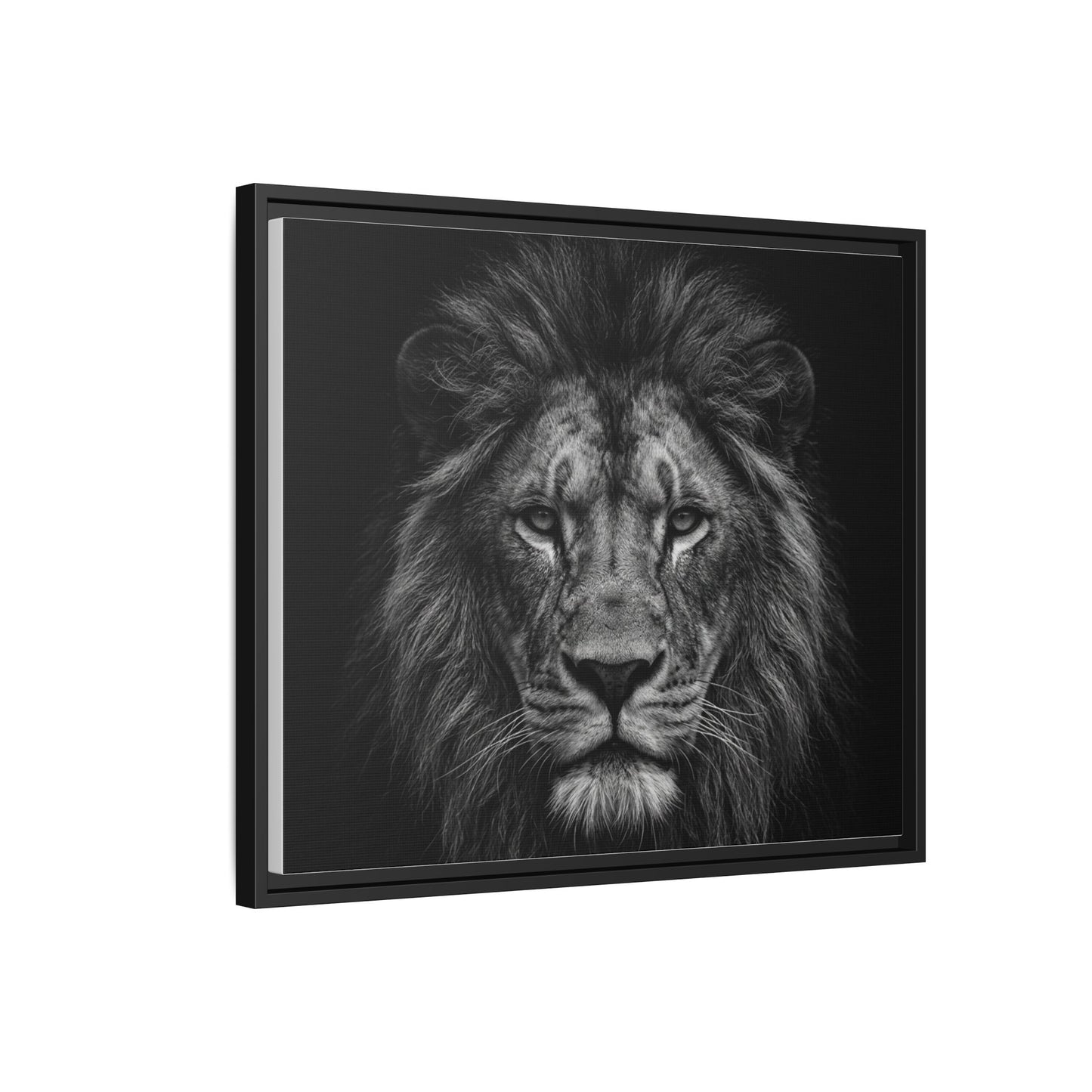 Framed Canvas Print — Lion In Black
