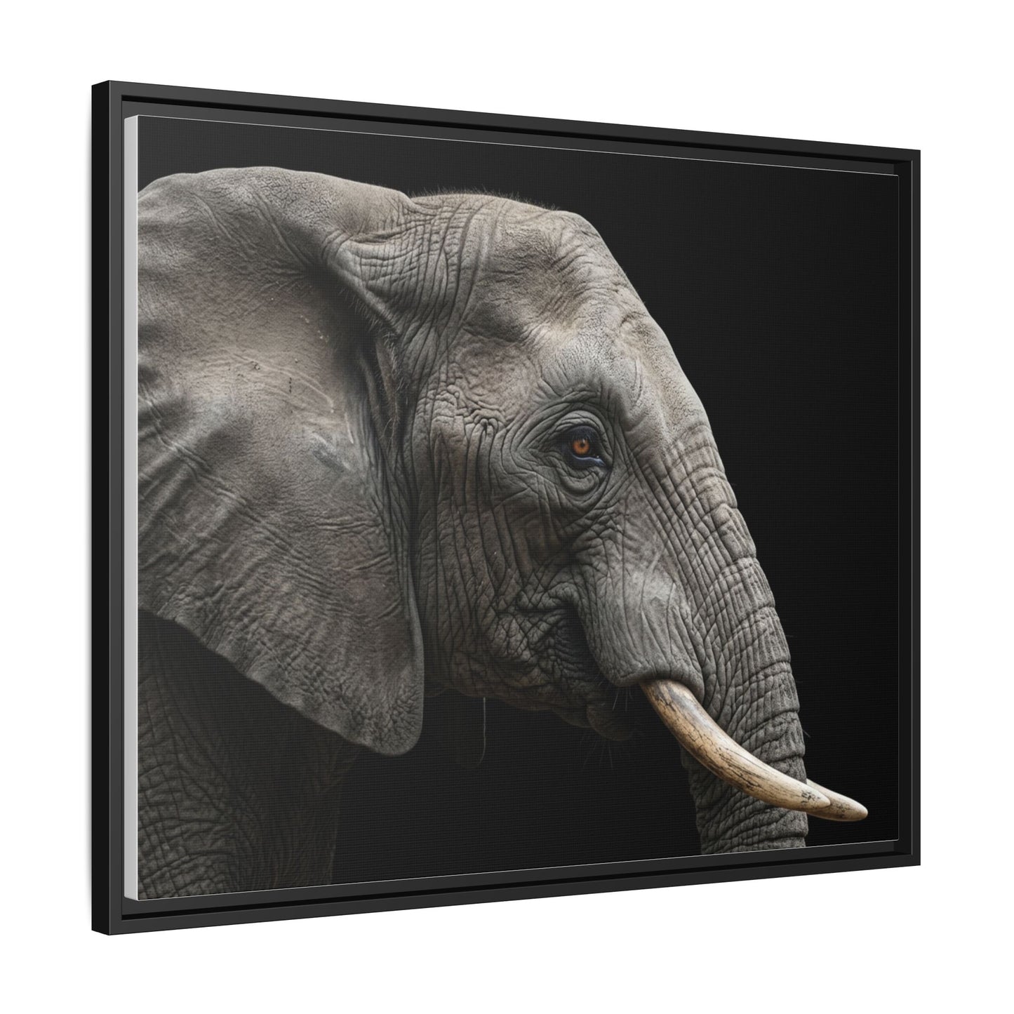 Framed Canvas Print — Elephant In Colour