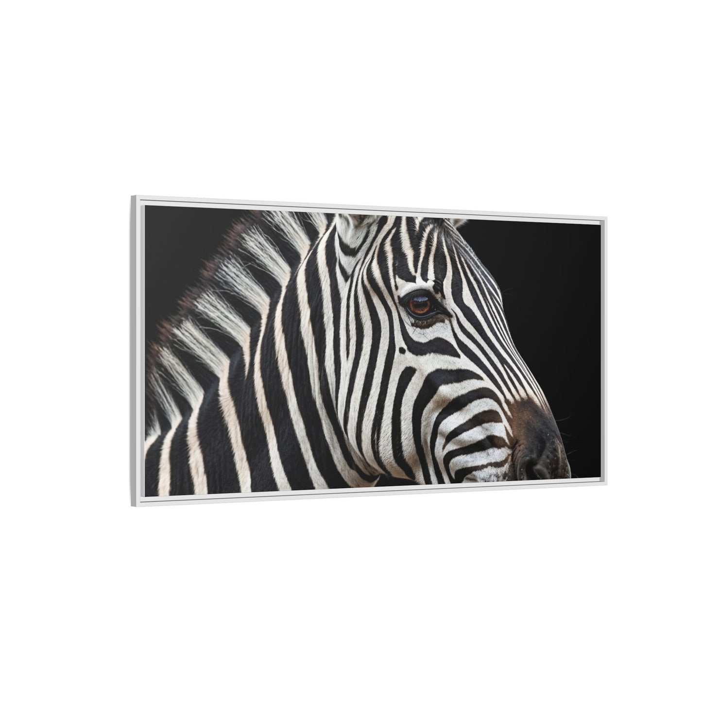 Framed Canvas Print — Zebra In Colour