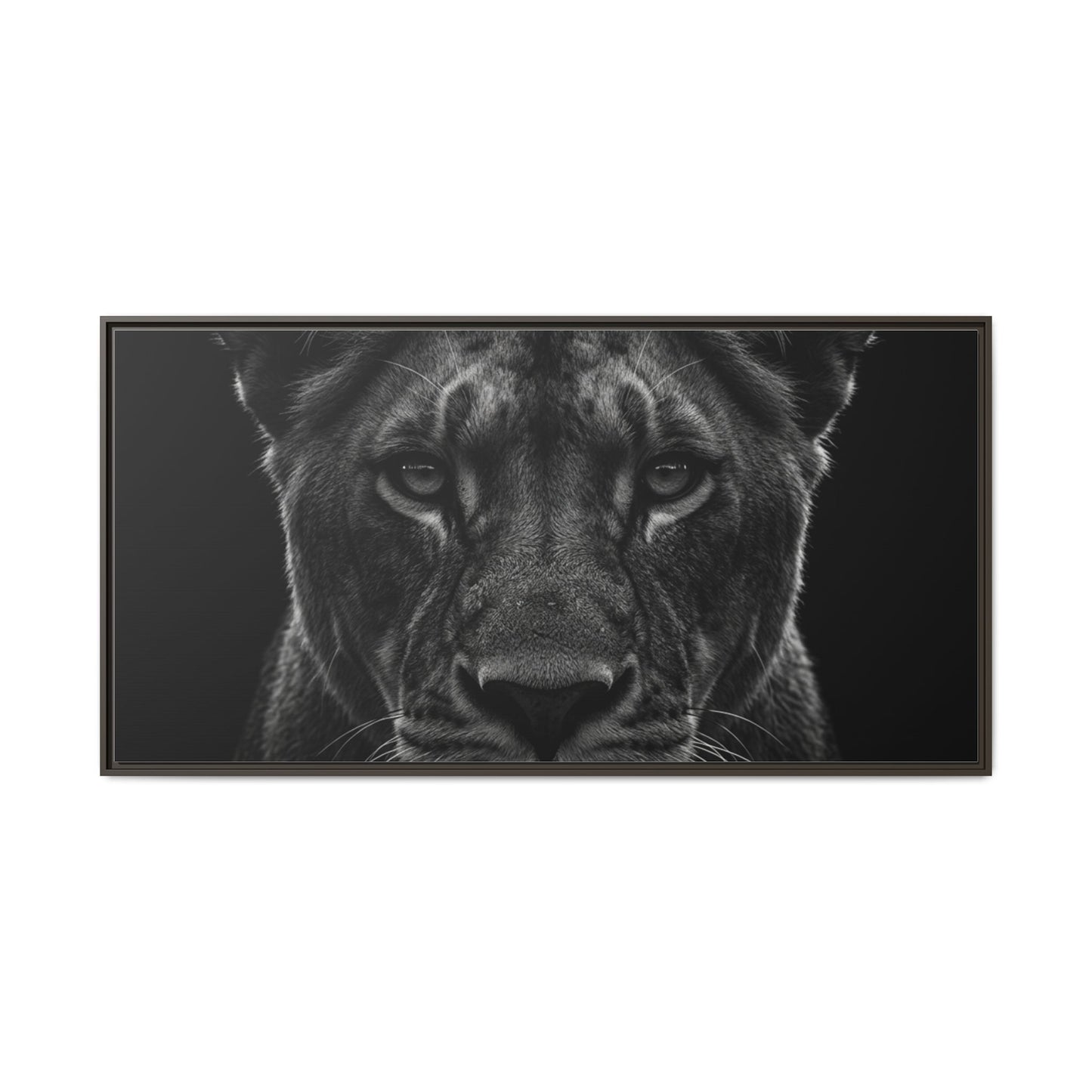 Framed Canvas Print — Lioness In Black