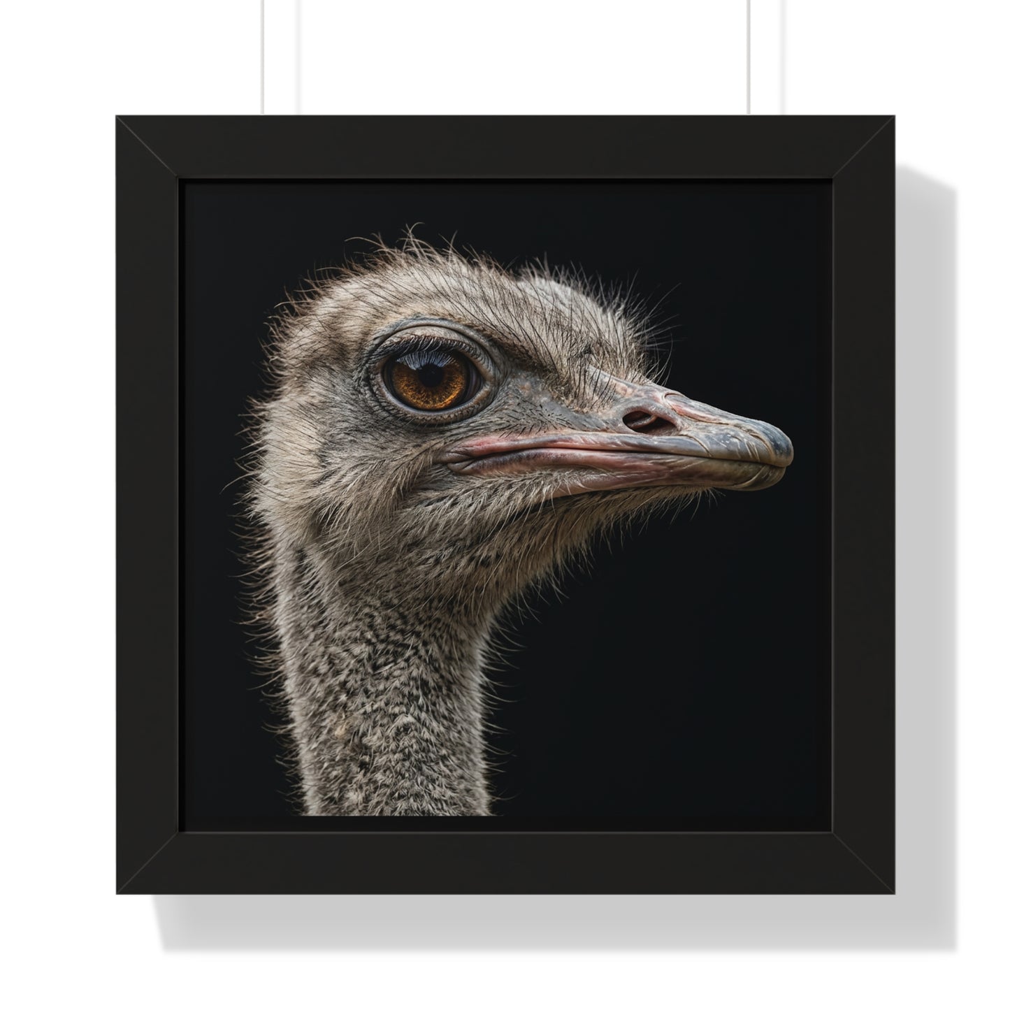 Framed Art Print – Ostrich In Colour