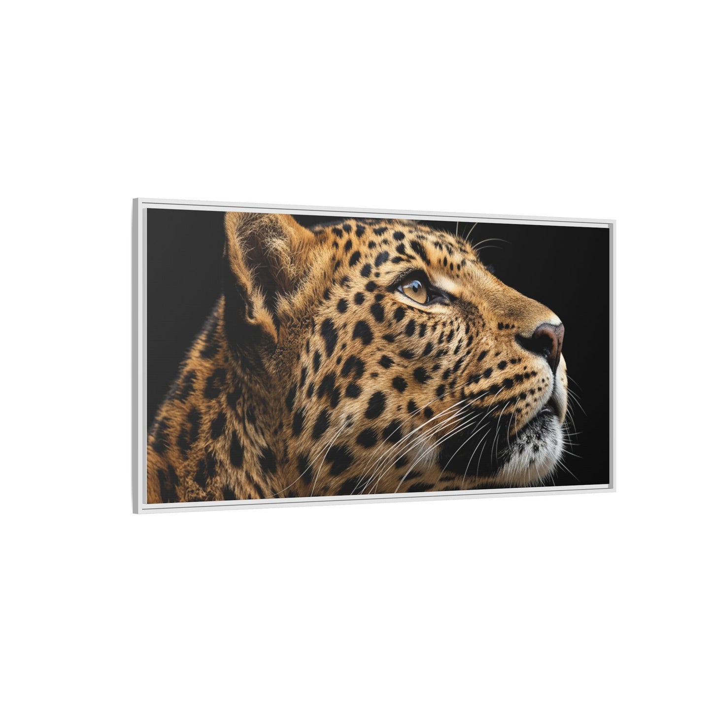 Framed Canvas Print — Leopard In Colour
