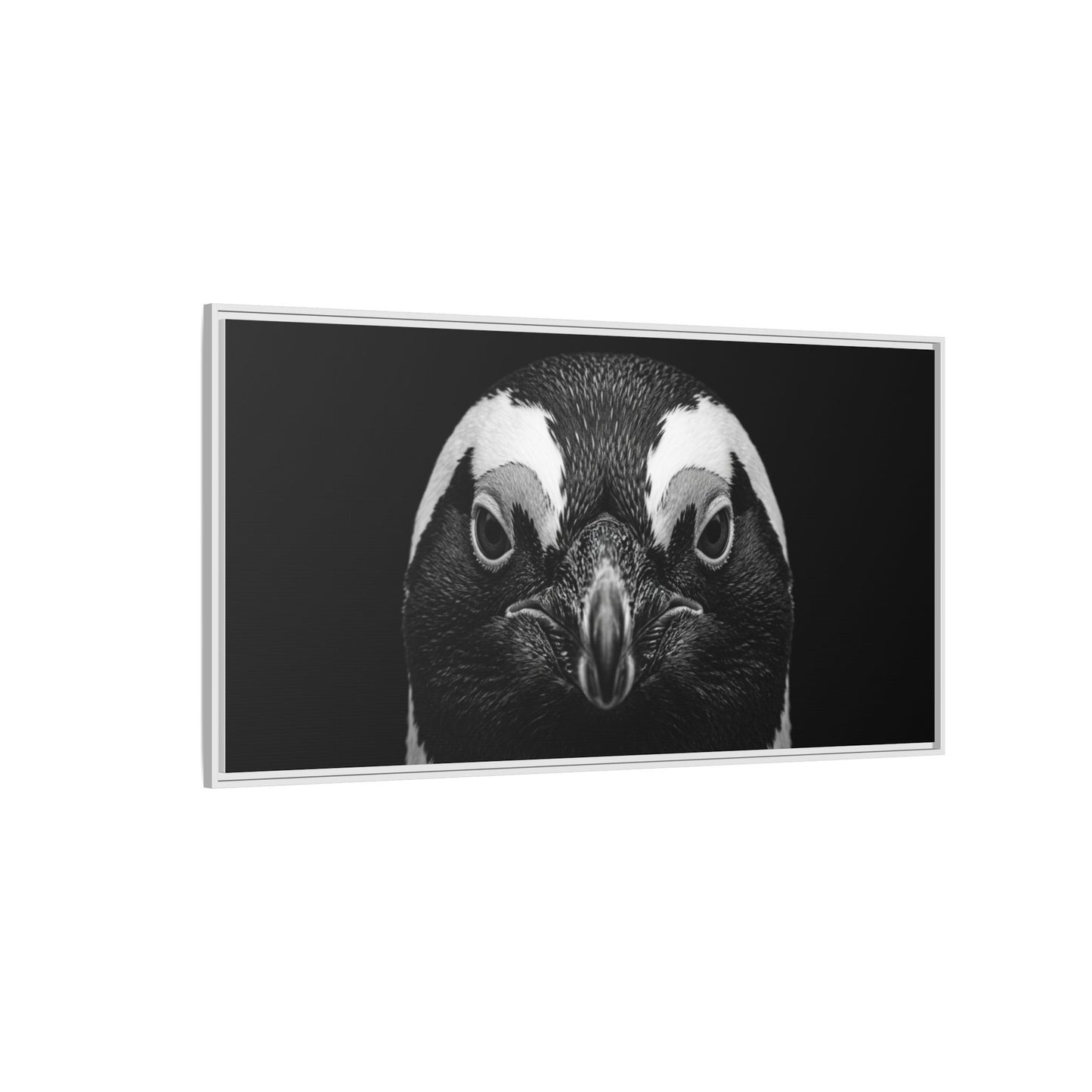 Framed Canvas Print — Afrikan Penguin In Black