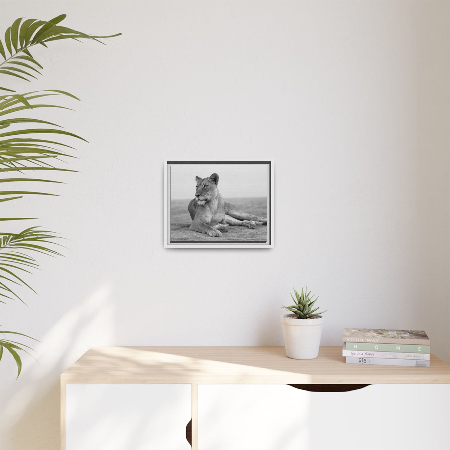 Framed Canvas Print — Lioness In Repose