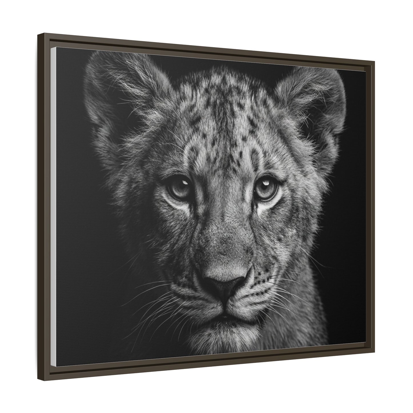 Framed Canvas Print — Lion Cub In Black
