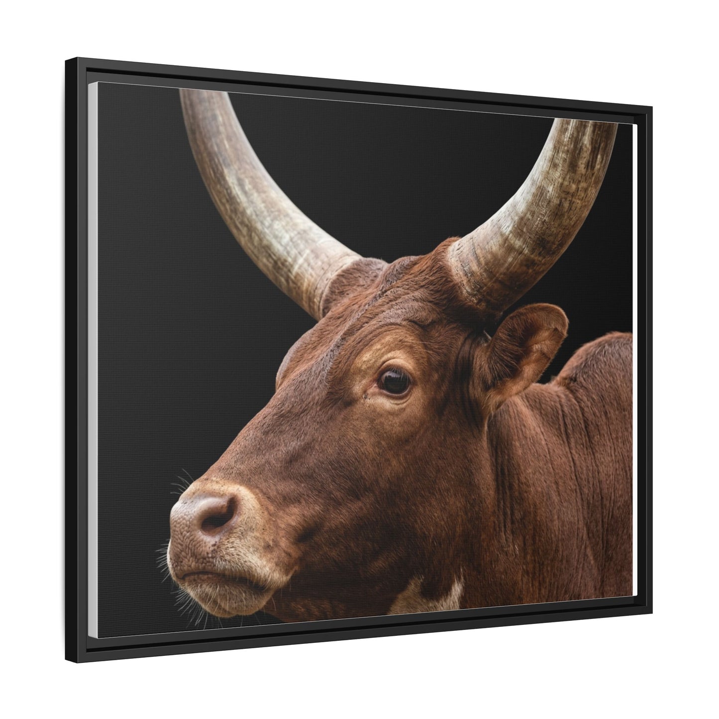Framed Canvas Print — Ankole Cow In Colour