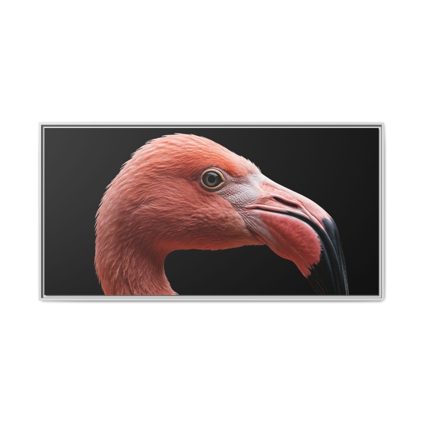 Framed Canvas Print — Flamingo In Colour