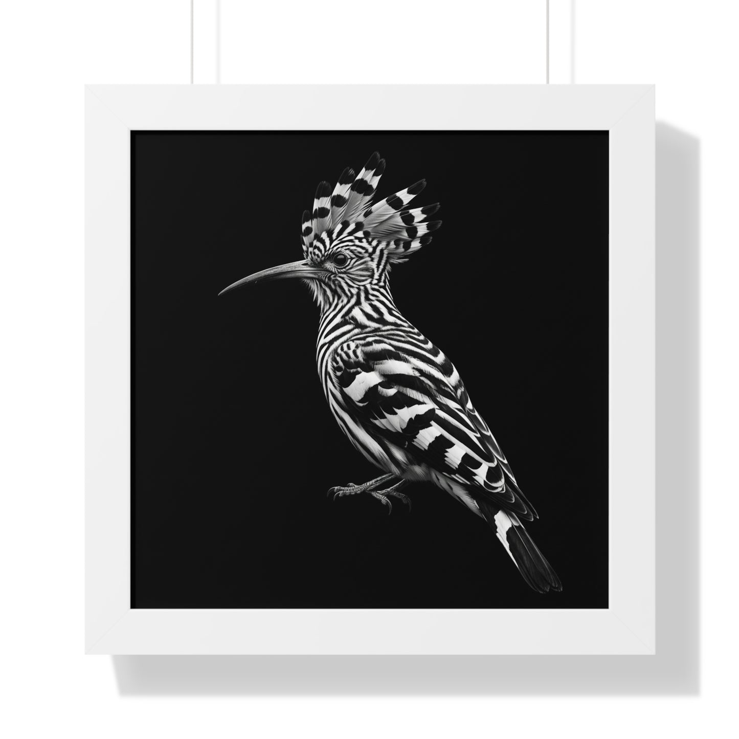 Framed Art Print – Afrikan Hoopoe In Black