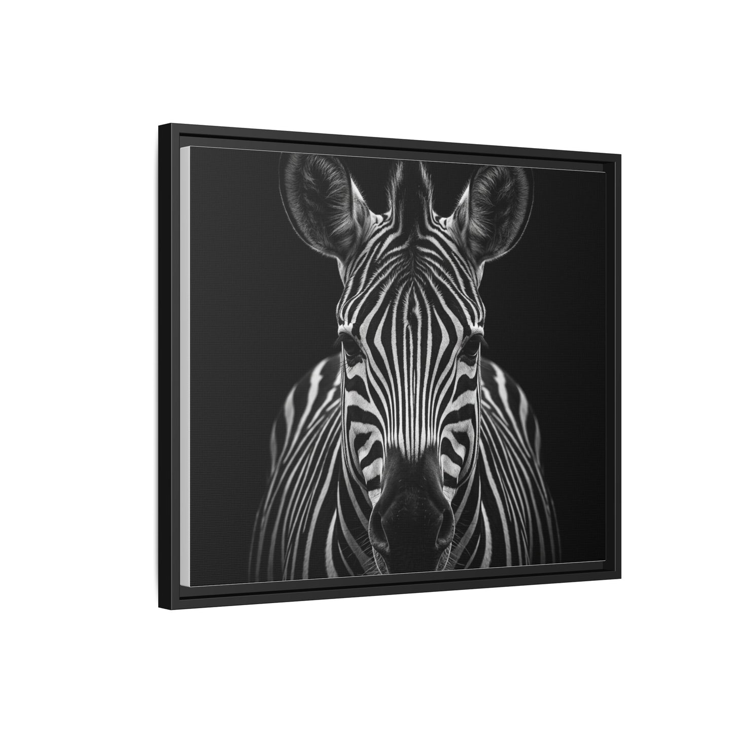 Framed Canvas Print — Zebra In Black