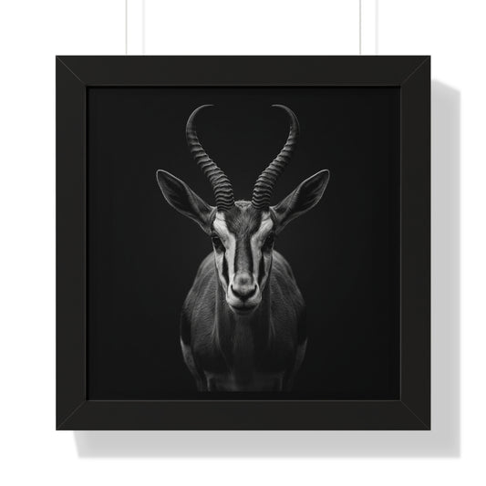Framed Art Print – Springbok In Black