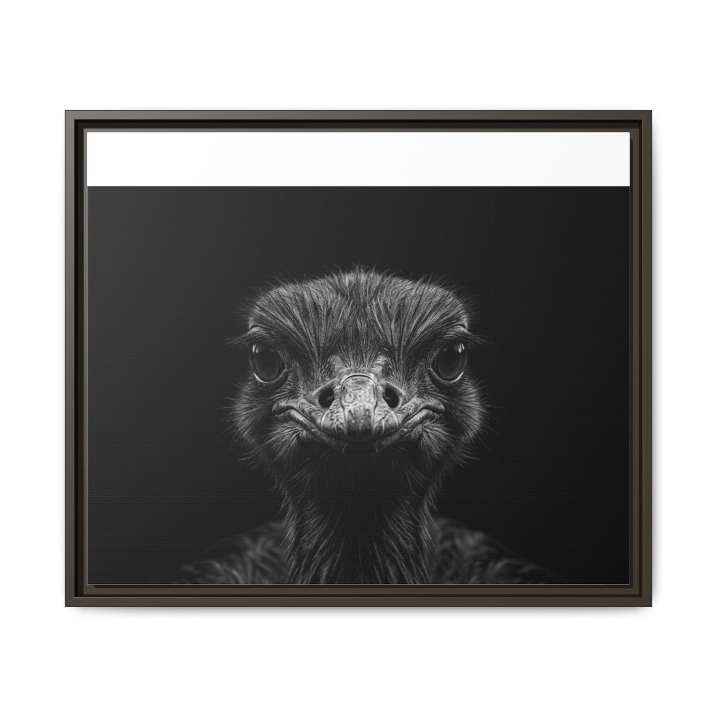 Framed Canvas Print — Ostrich In Black