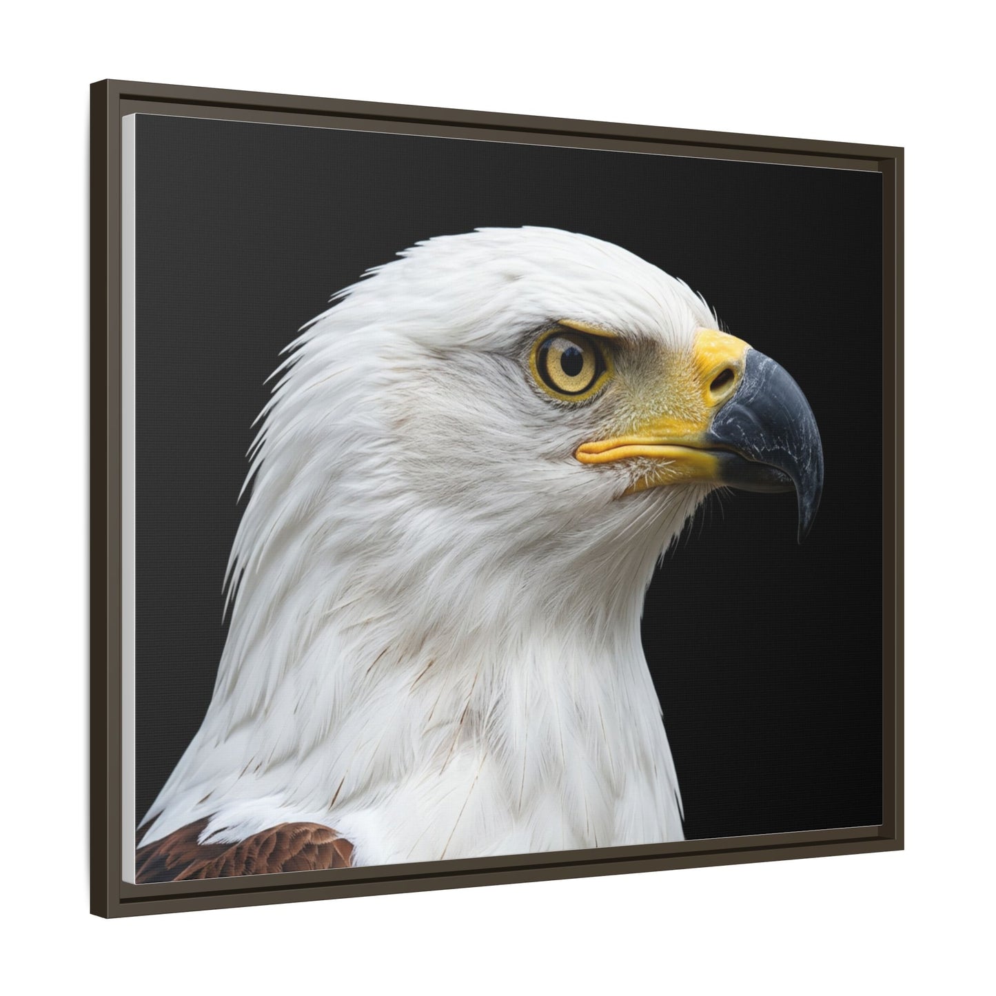 Framed Canvas Print — Fish Eagle In Colour